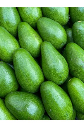 ADKTROPİKAL 1 KG AVOKADO ANAMUR YENİ MAHSUL
