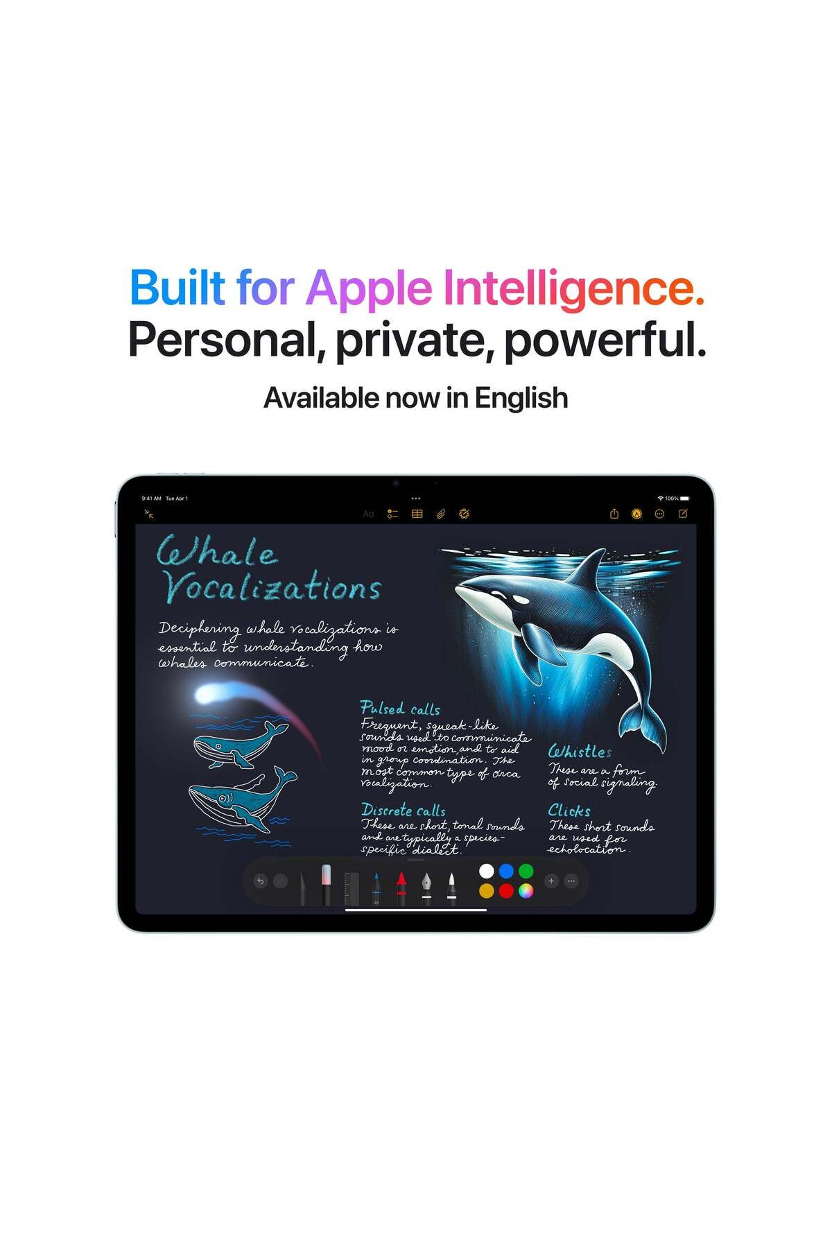 Apple-iPad Air 11 بوصة Wi-Fi + Cellular 128GB - أزرق (M3) 5