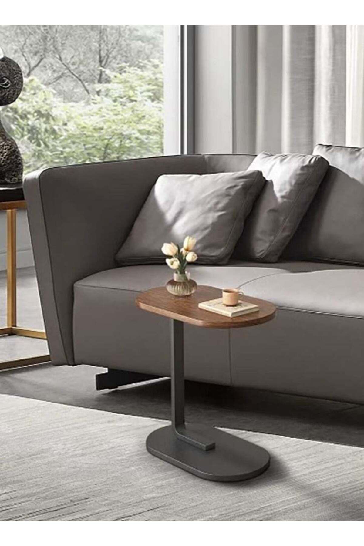 Generic-C Shaped End Tables, End Table for Couch, Small Side Table with Metal Frame, Wooden Top Side Table, 6