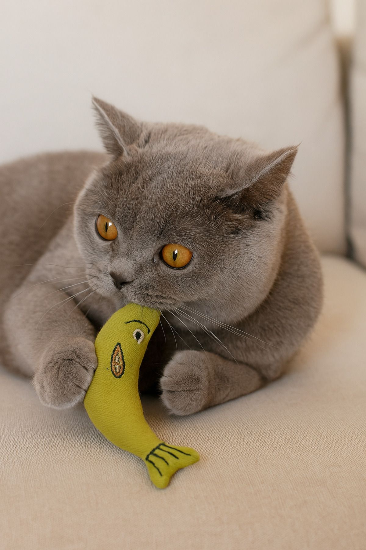 Lazy Paws-Cat Toy Interactive with Catnip and Bell, Stress Reliever, Relaxing Playmate - Green Fish 5