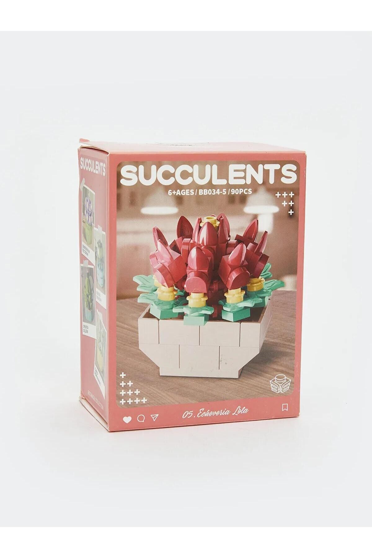 LC Waikiki-Lcw Accessories Succulent Flower Model Building Set (W5) 2