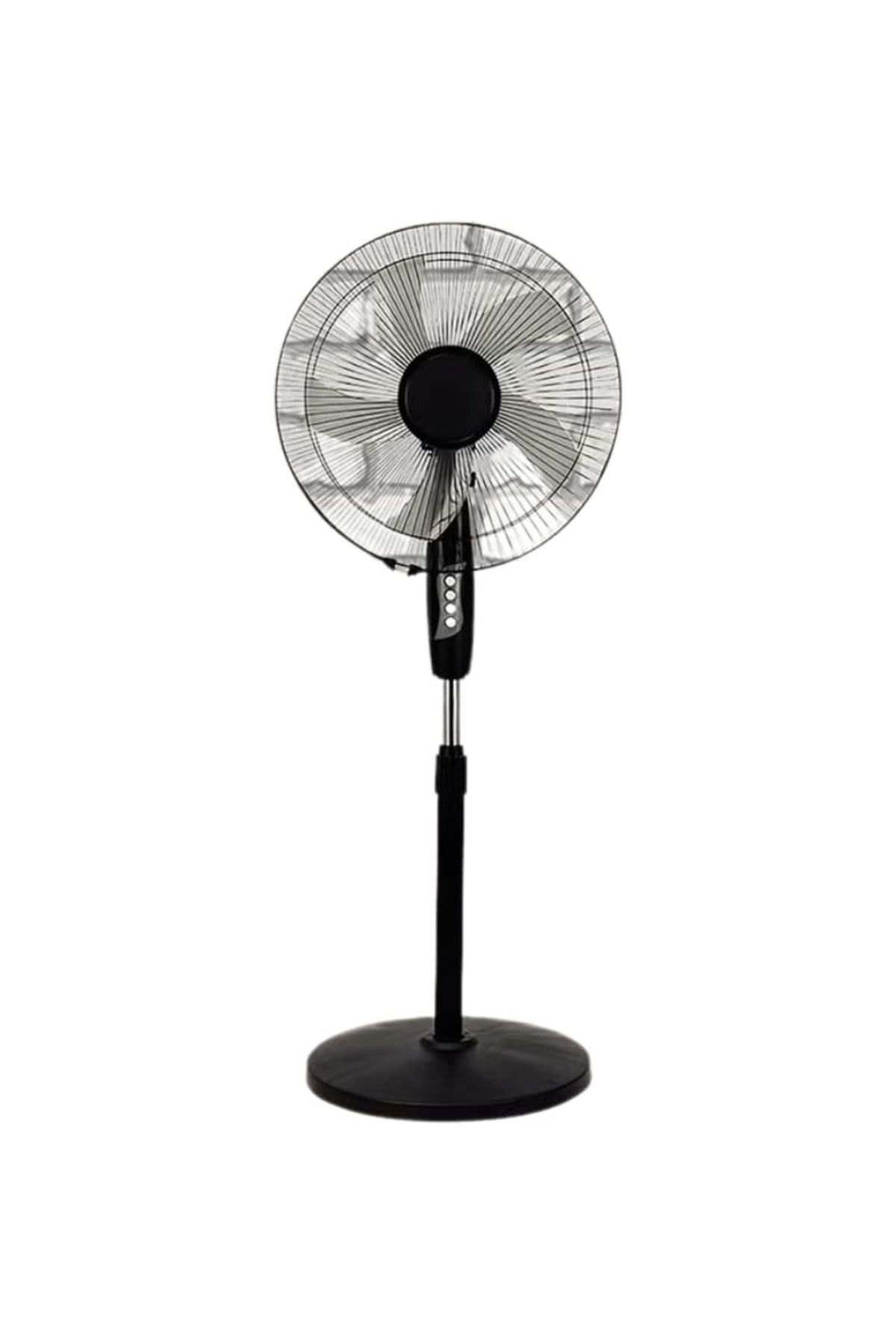 Denx-Pedestal fan with oscillating function 1