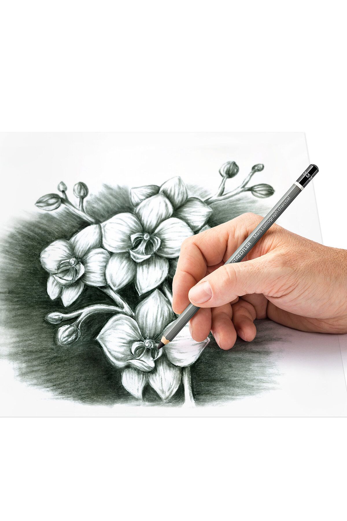 Staedtler-100C Mars Lumograph Charcoal Drawing Sketching Charcoal Pencil Box of 12 8