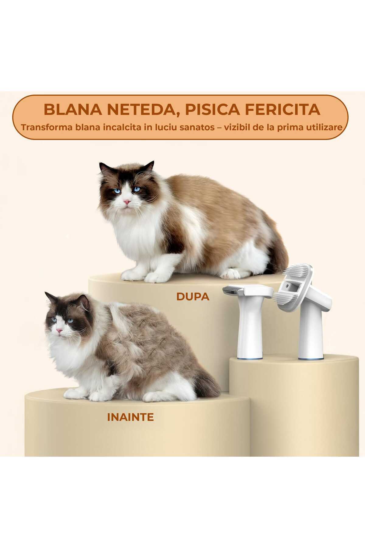 Timebox-Silent Vacuum Cleaner for Pet Grooming, 6 in 1 Kit with Brush, Clipper and Trimmer, 48 dB Ultra Quie 3
