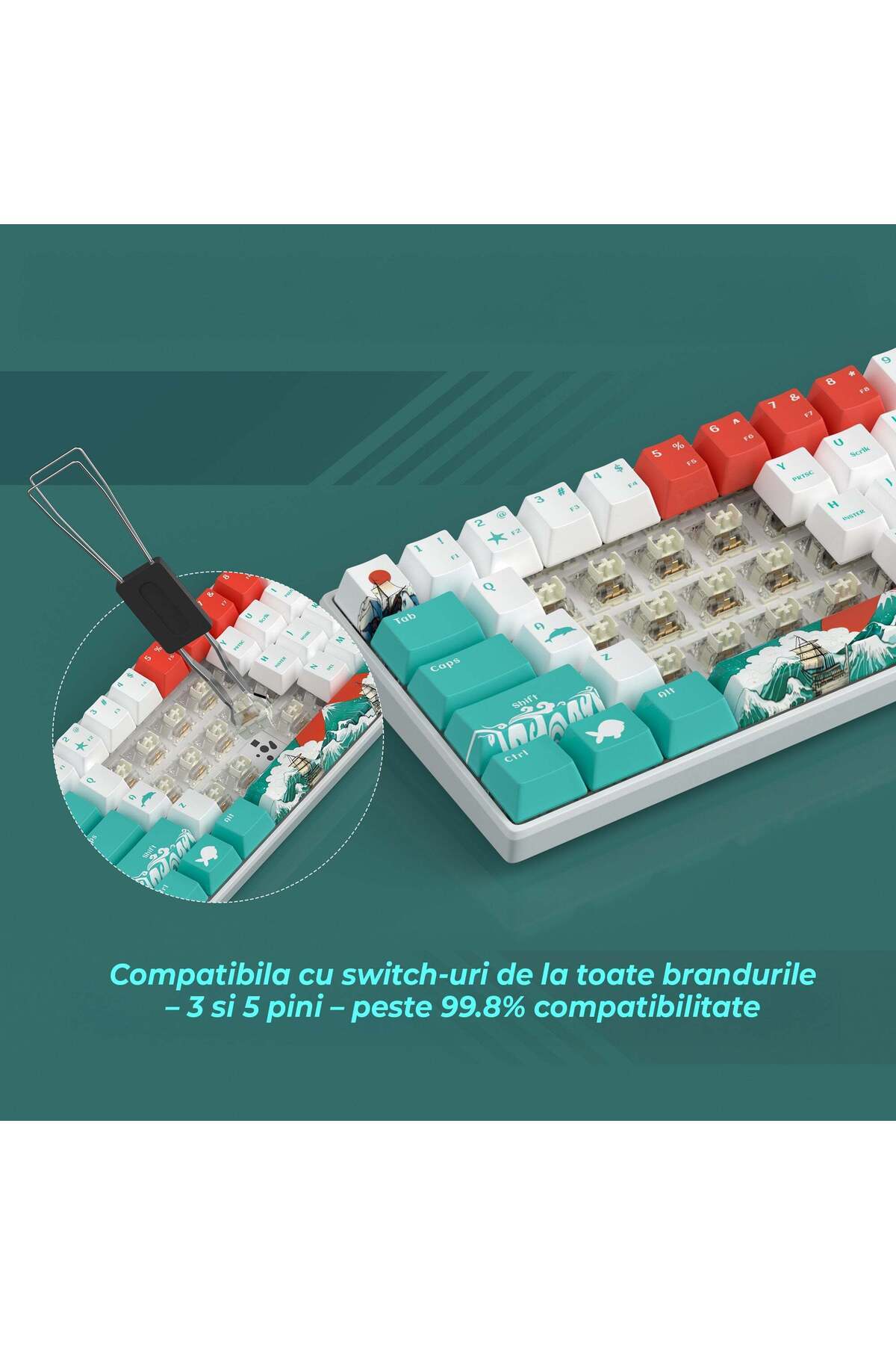 Timebox-Mechanical Keyboard, 60% Compact, RGB, Ivory White Hot-Swappable Switches, Silent and Portable Desi 6