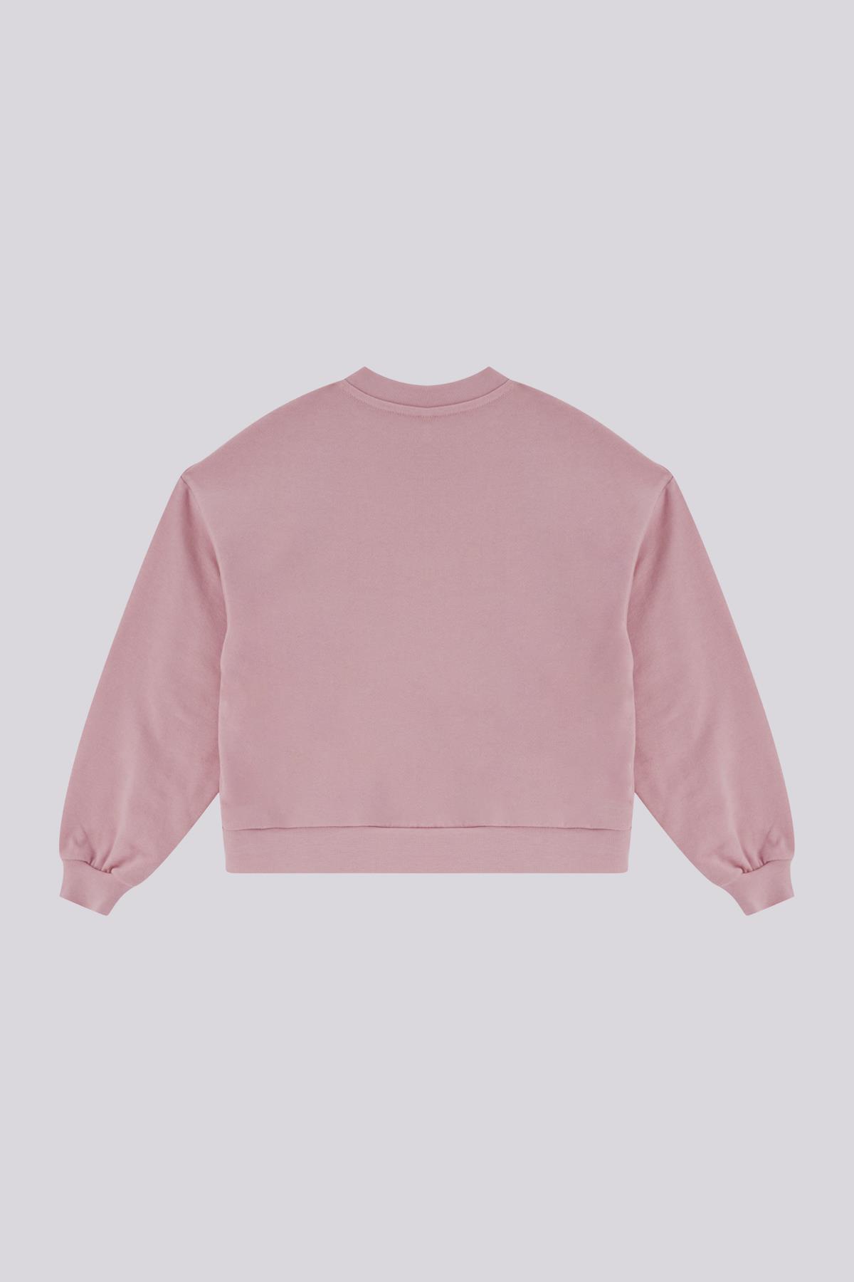 Tyess BG Store Kız Bebek Pudra Sweatshirt fotoğrafı 7 (önizleme)