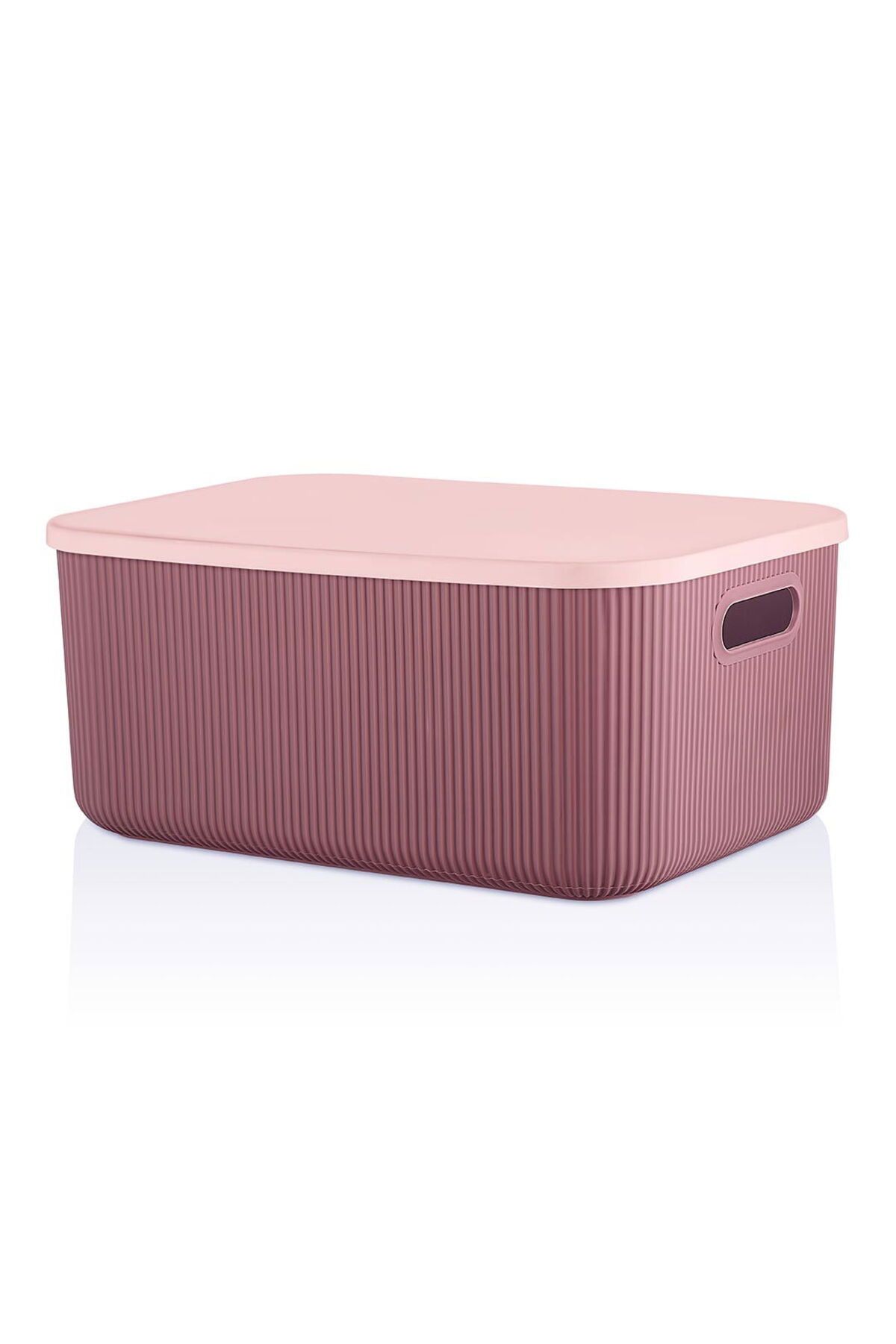 Lova-Box with Shell Lid - 13 Lt - Asorti 1
