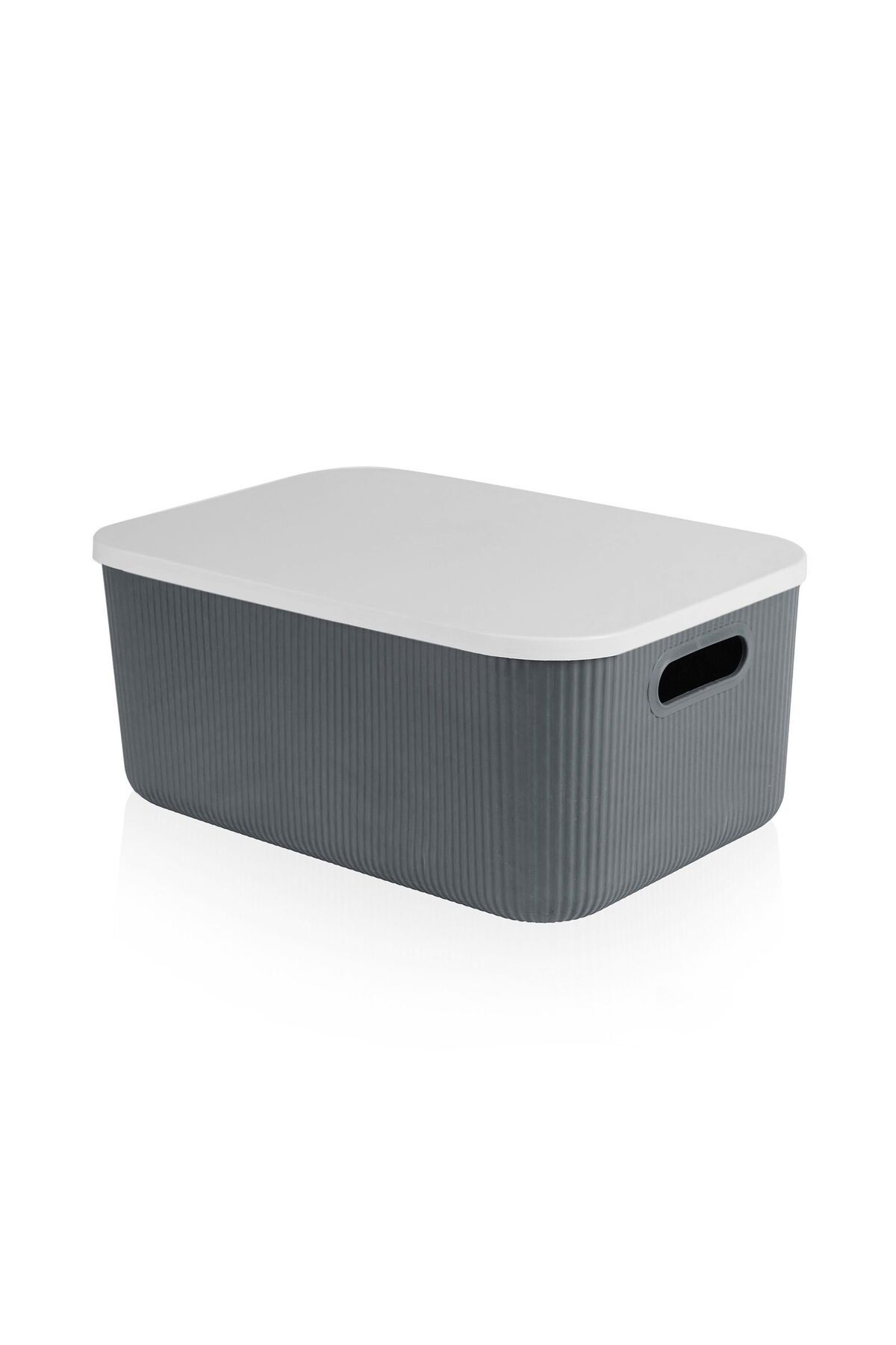 Lova-Box with Shell Lid - 13 Lt - Asorti 2
