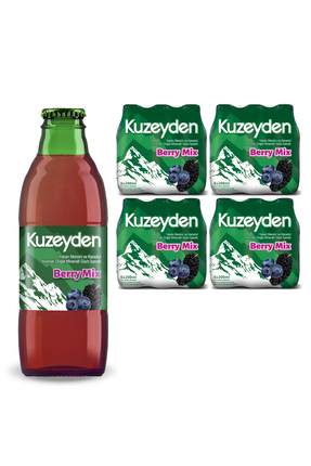 KUZEYDEN Berry Mix Doğal Mineralli Gazlı İçecek | Yaban Mersini, Karadut | 24...