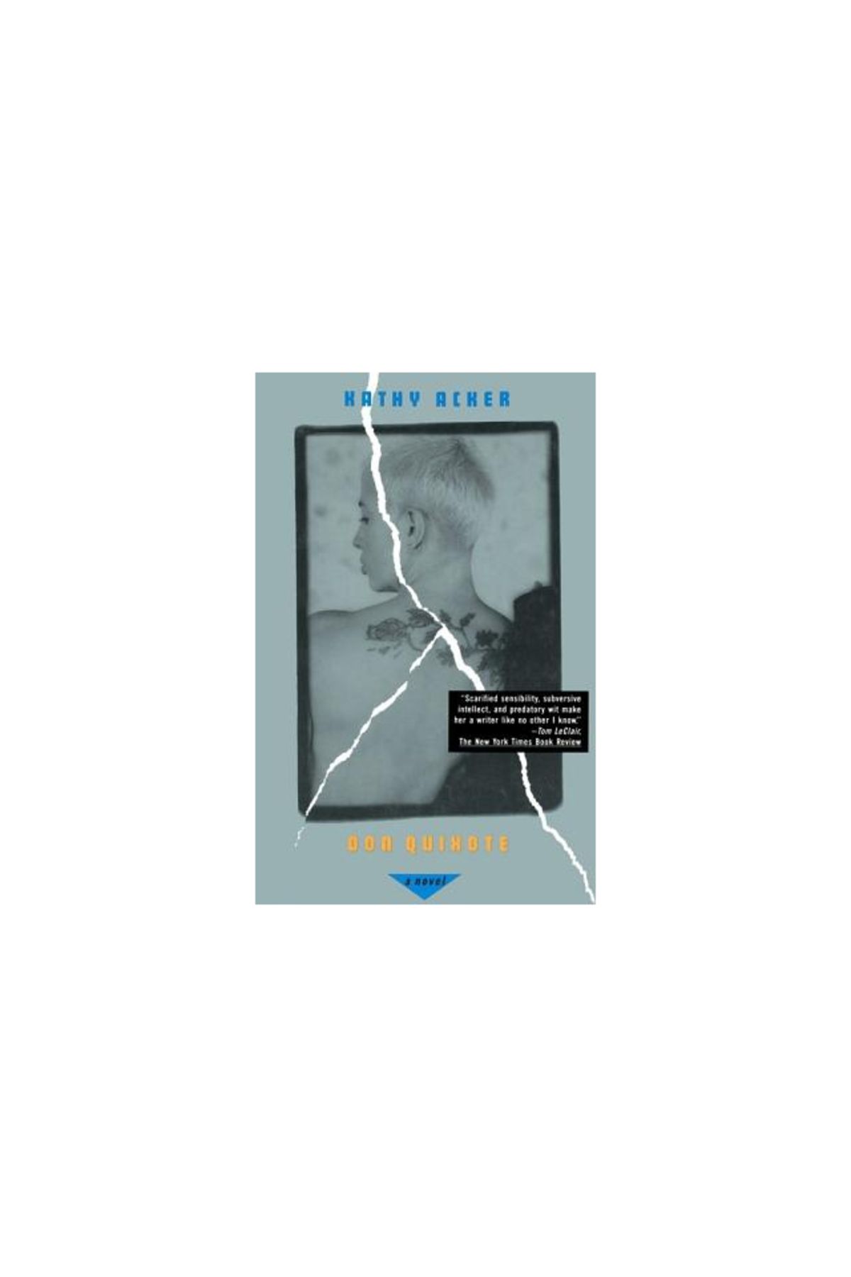 Grove Press-Don Quixote, Which Was a Dream 1