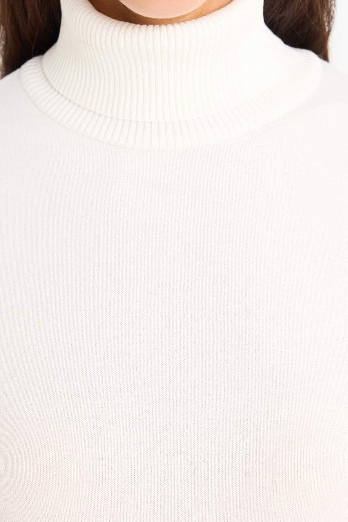 DeFacto-Regular Fit Half Turtleneck Sweater E8498Ax25Wn 5