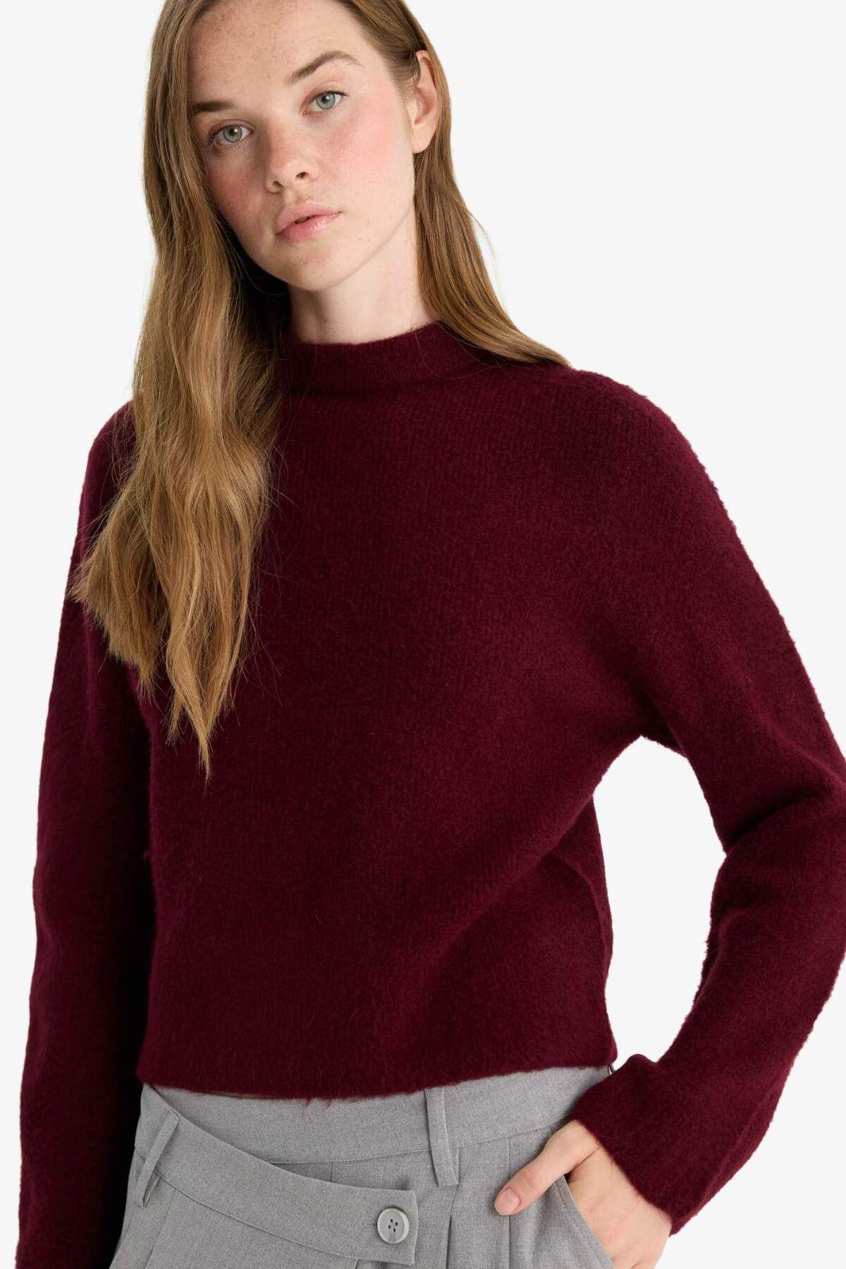 DeFacto-Regular Fit Half Turtleneck Sweater F4768Ax25Wn 4