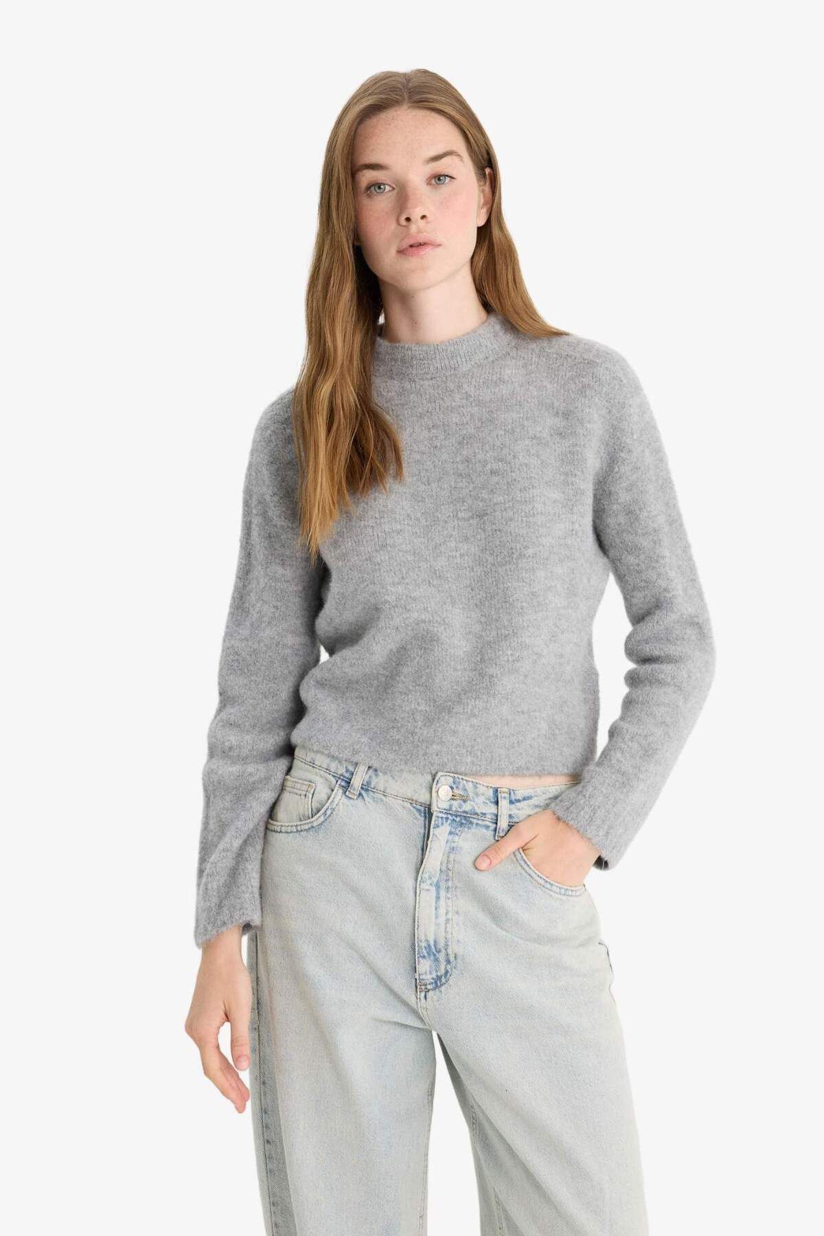 DeFacto-Regular Fit Half Turtleneck Sweater F4768Ax25Wn 4