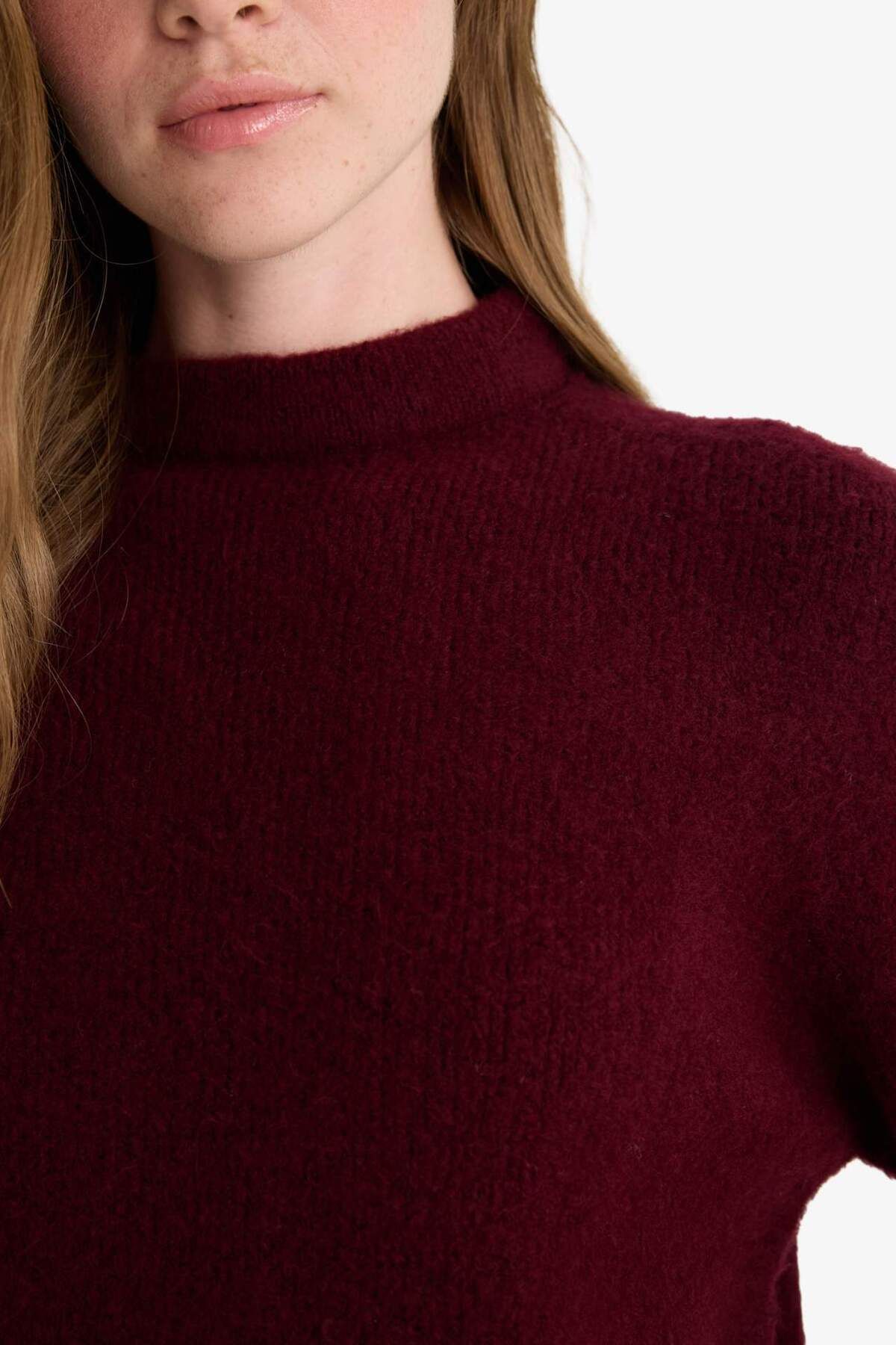 DeFacto-Regular Fit Half Turtleneck Sweater F4768Ax25Wn 5