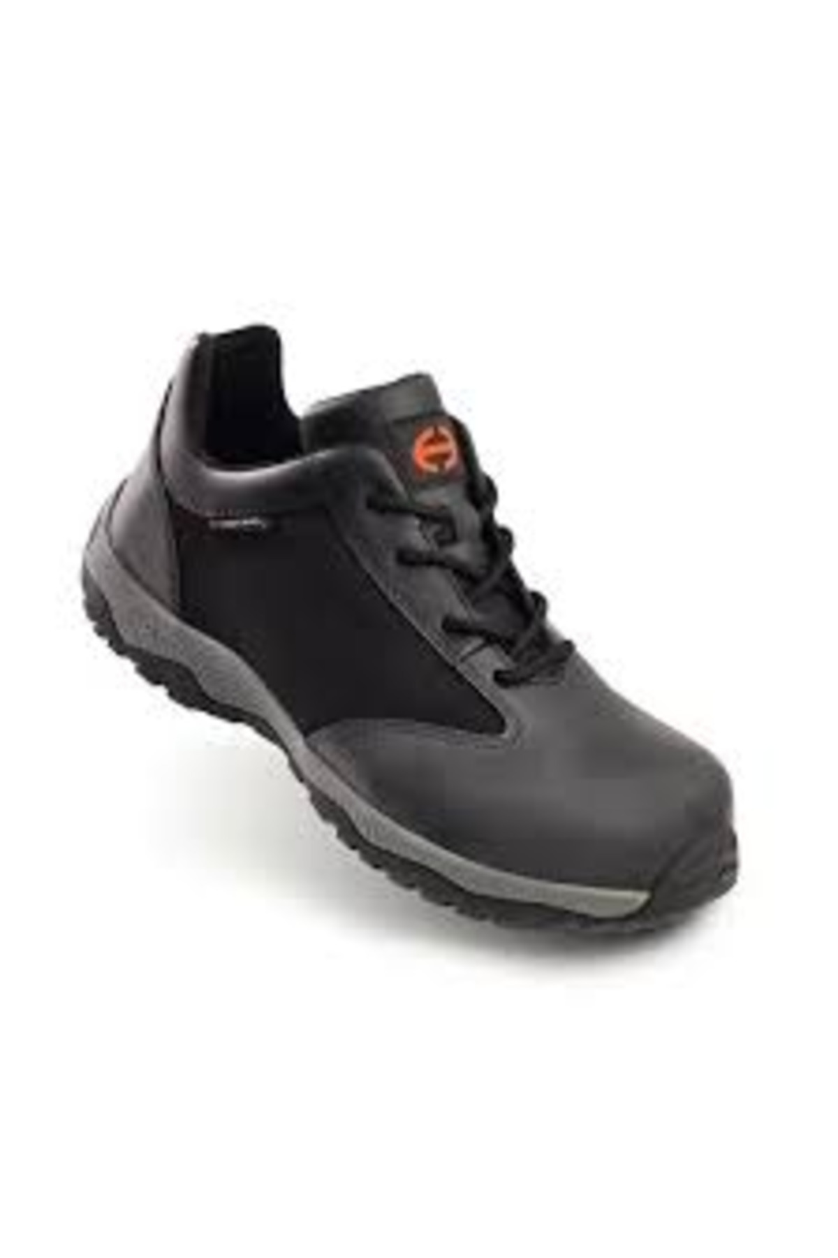 هکل ام اس پایین