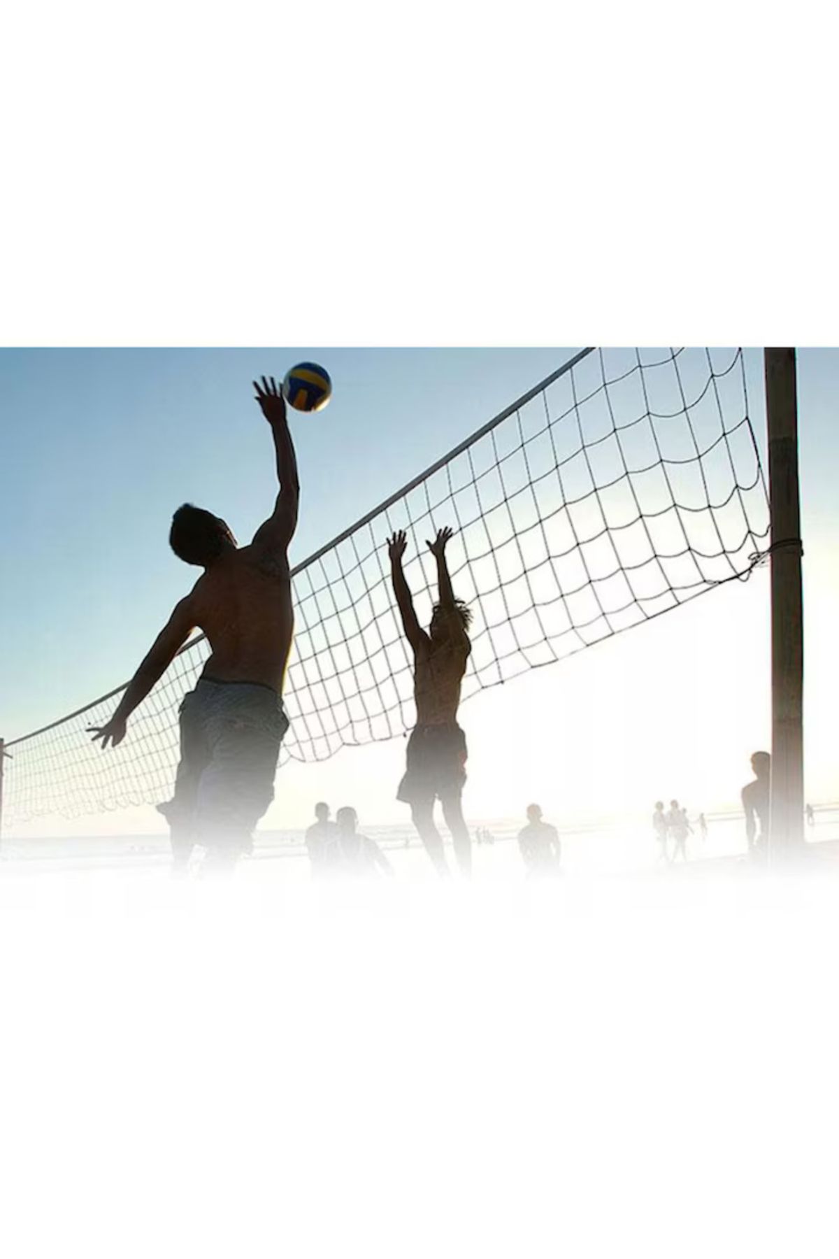varioshop-VarioShop® net for volleyball, badminton and tennis, Strong net, Durable frame, Carrying bag 1