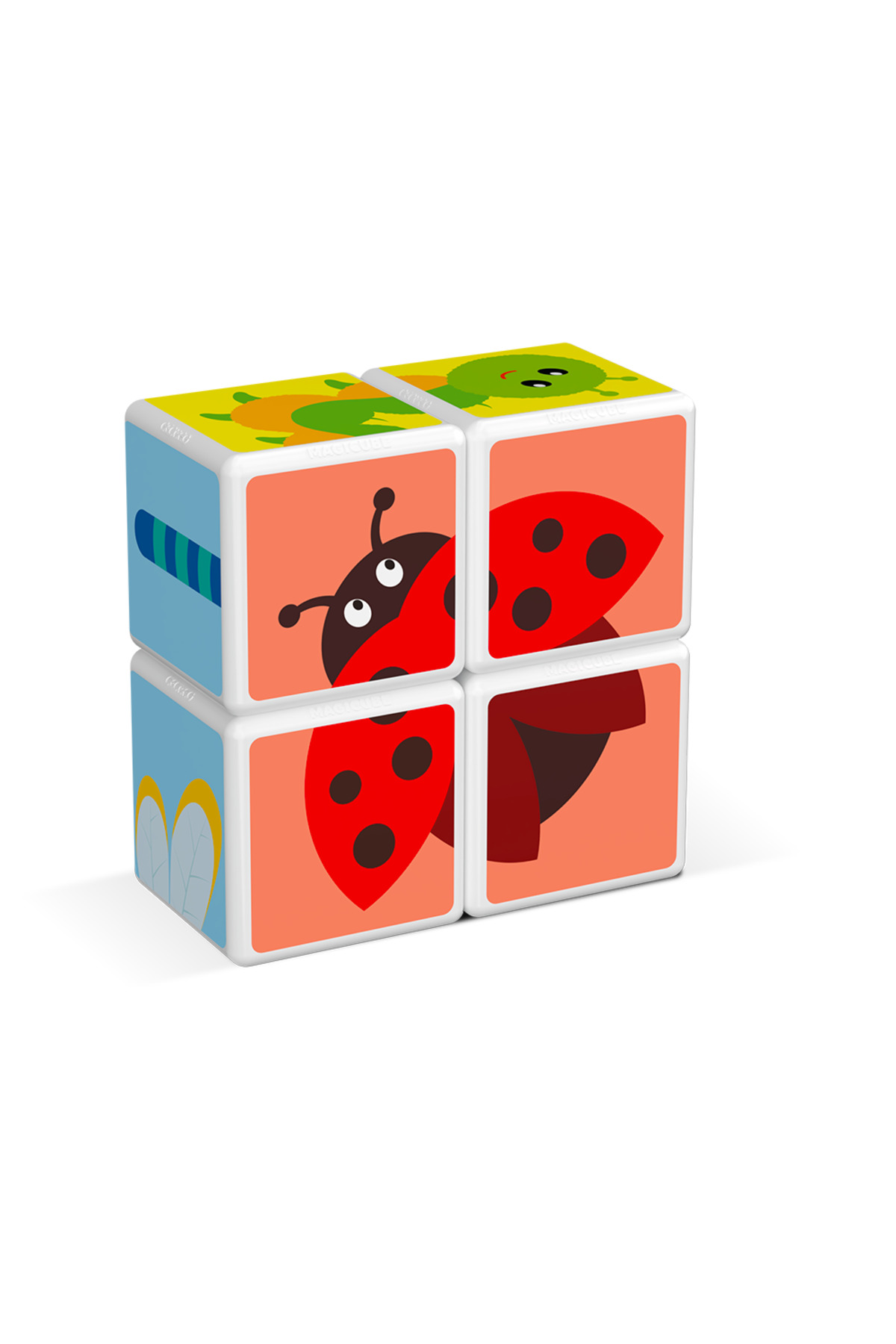 بازی ساختنی حشرات مجیکیوب با مکعب‌های مغناطیسی، شامل ۴ مکعب، ساخت سوئیس ۱۰۰