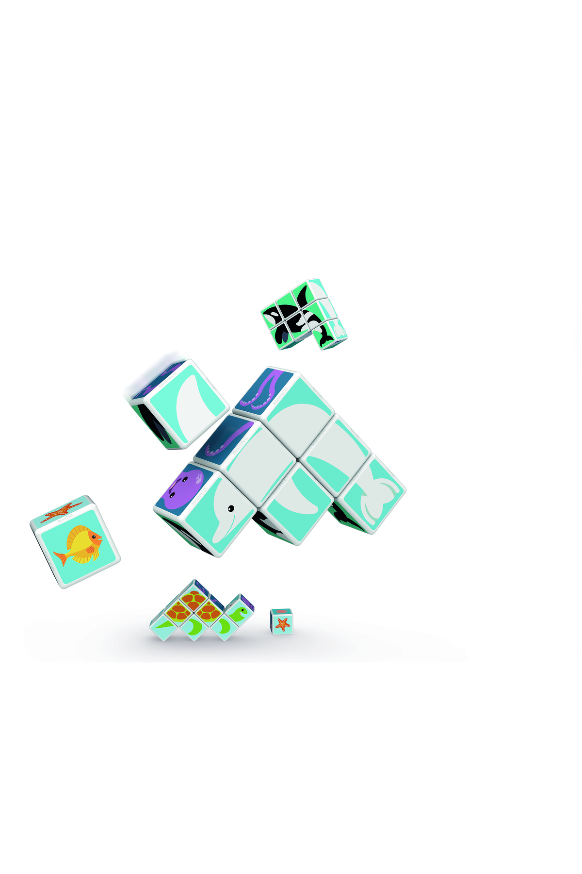 مکعب جادویی، حیوانات دریایی چاپشده + کارتها، اسباببازی STEM برای کودکان، ۱۰۰٪ بازیافتی، ساخت سوئیس