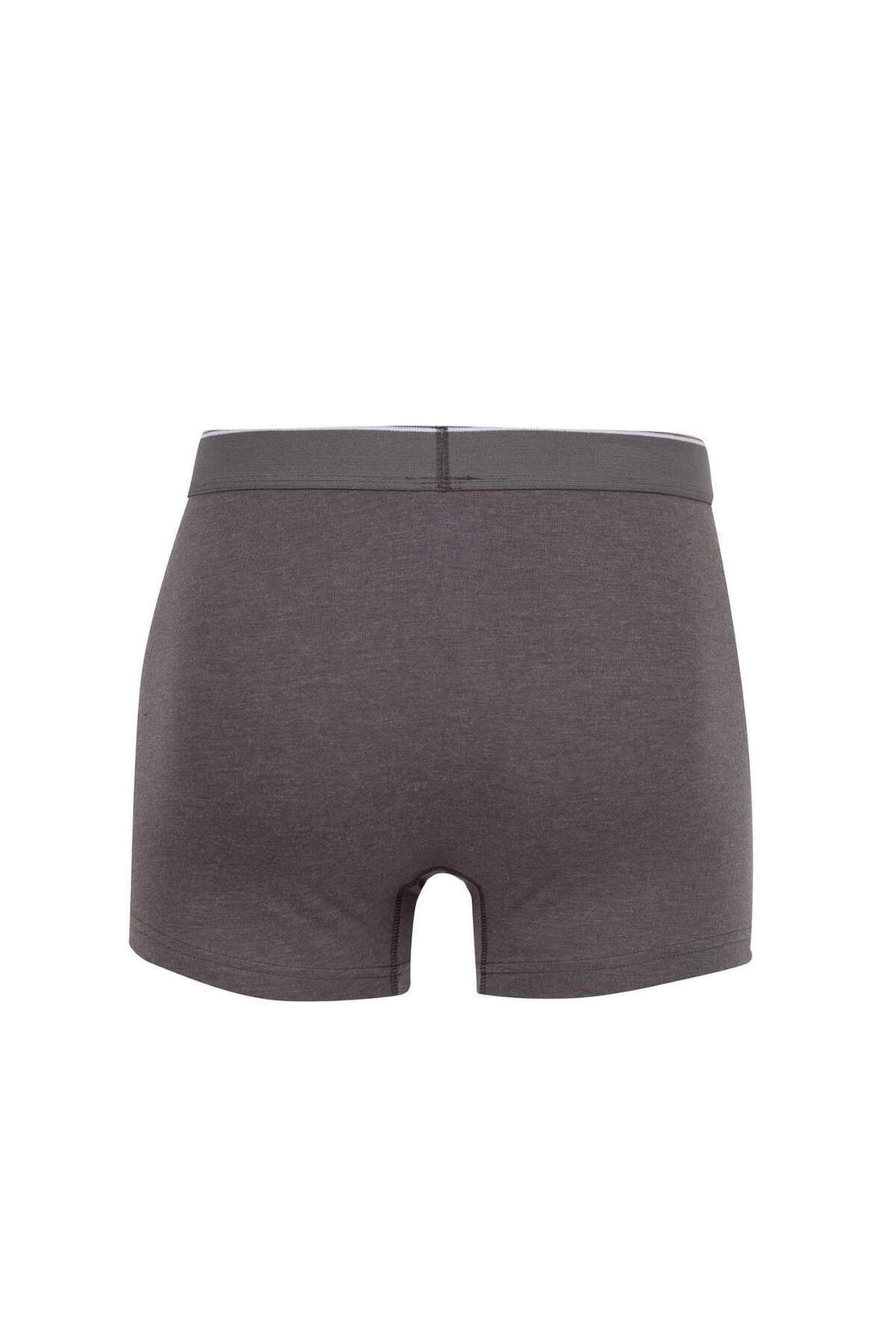 DeFacto-Regular Fit 3-Pack Boxer C9550Ax24Au 3