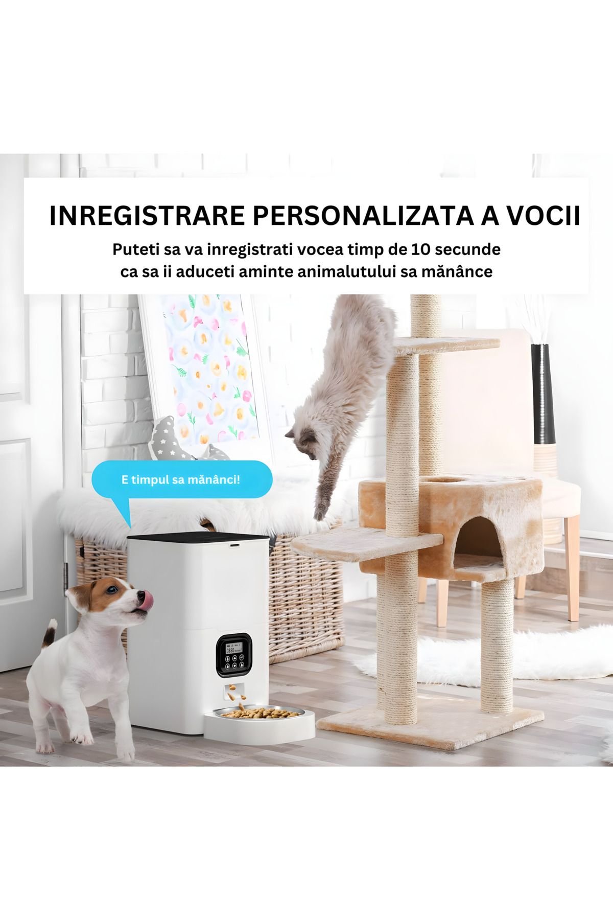Infiniteea-Hrănitor automat pentru câini și pisici, 4L, Wifi, programabil 2