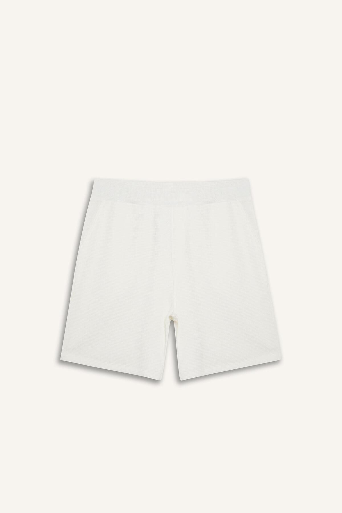 DeFacto-Regular Fit Textured Waffle Shorts E2591Ax25Sm 8
