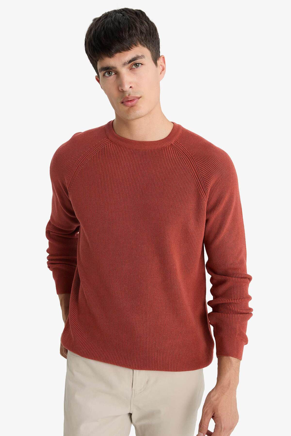 DeFacto-Standard Fit Crew Neck Strickpullover A8458AX24WN 3