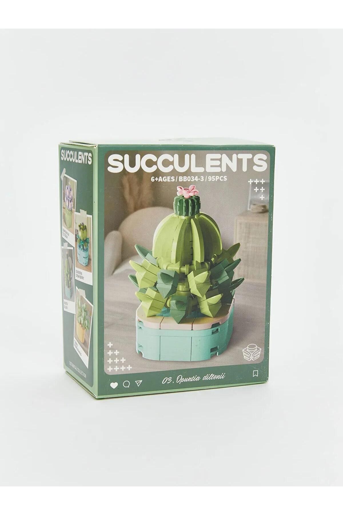 LC Waikiki-Lcw Accessories Succulent Flower Model Building Set (W5) 7