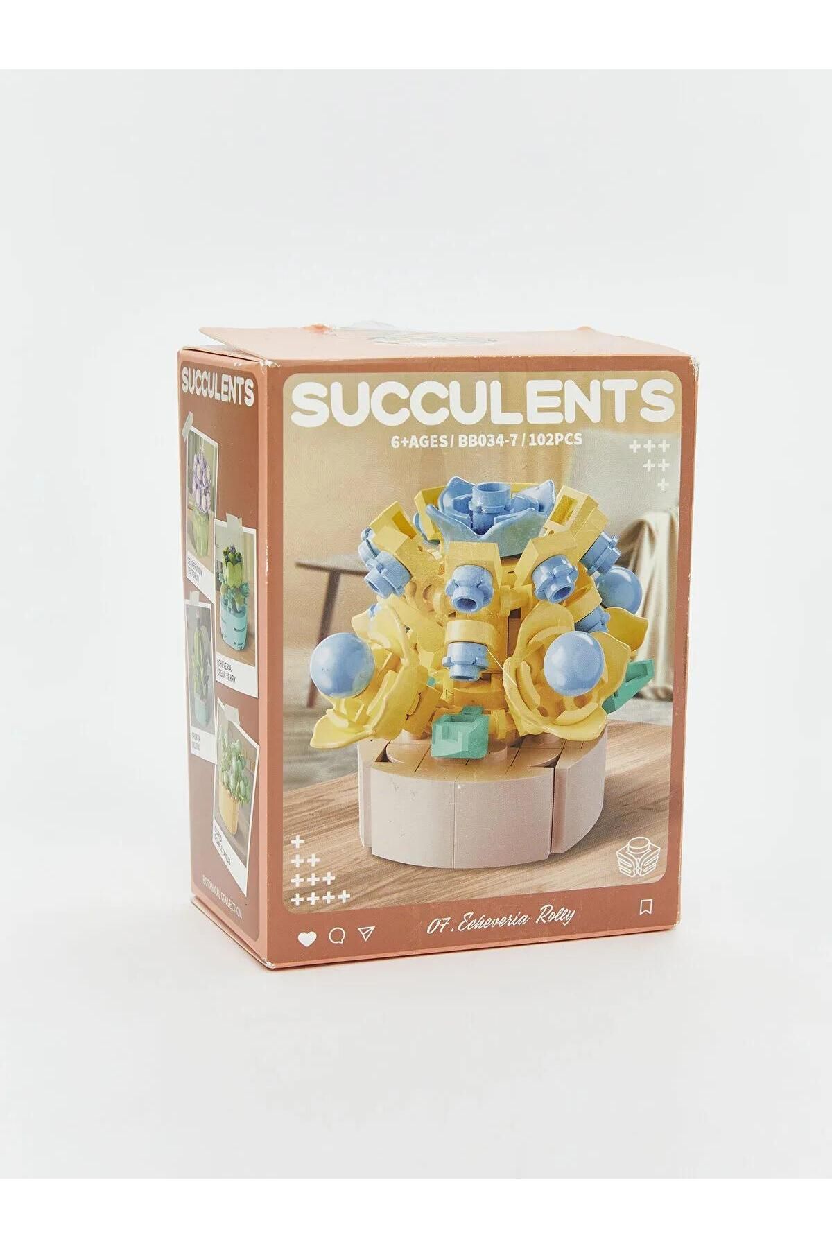 LC Waikiki-Lcw Accessories Succulent Flower Model Building Set (W5) 8