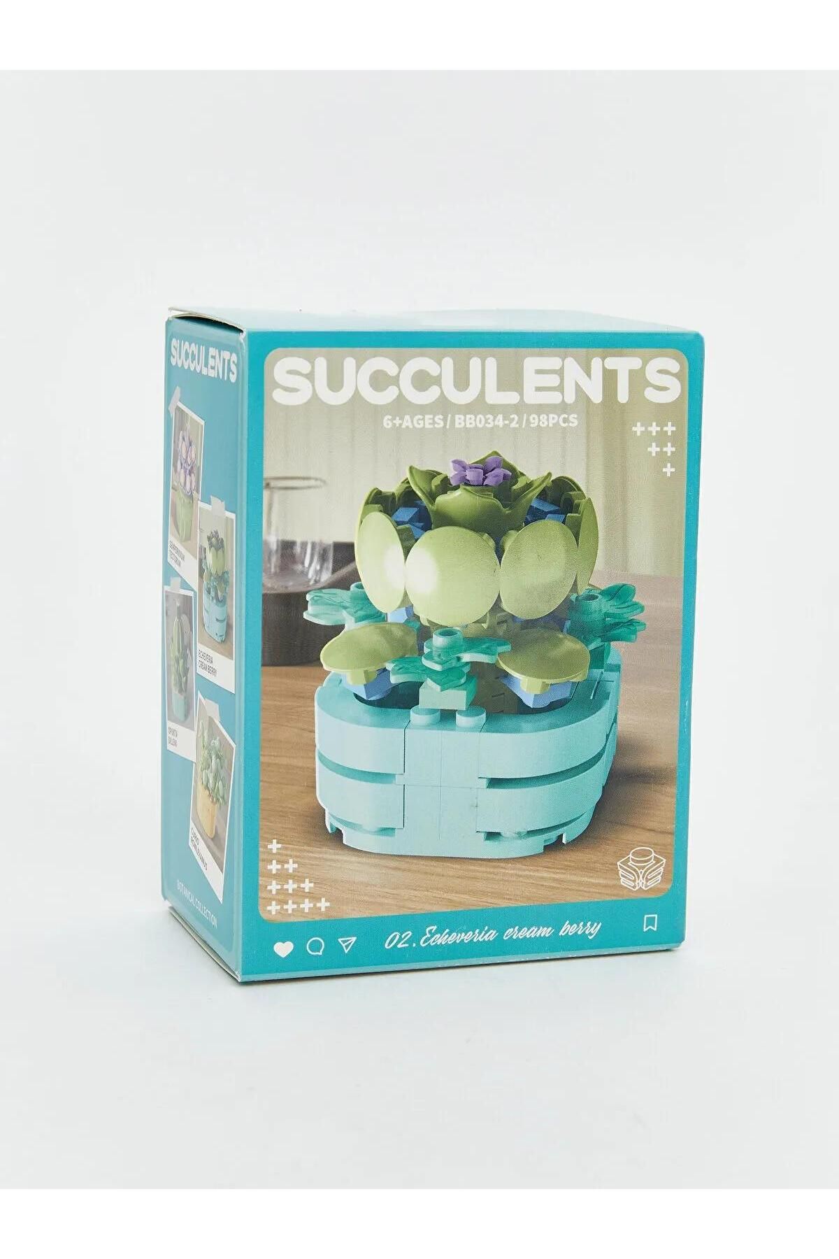 LC Waikiki-Lcw Accessories Succulent Flower Model Building Set (W5) 4