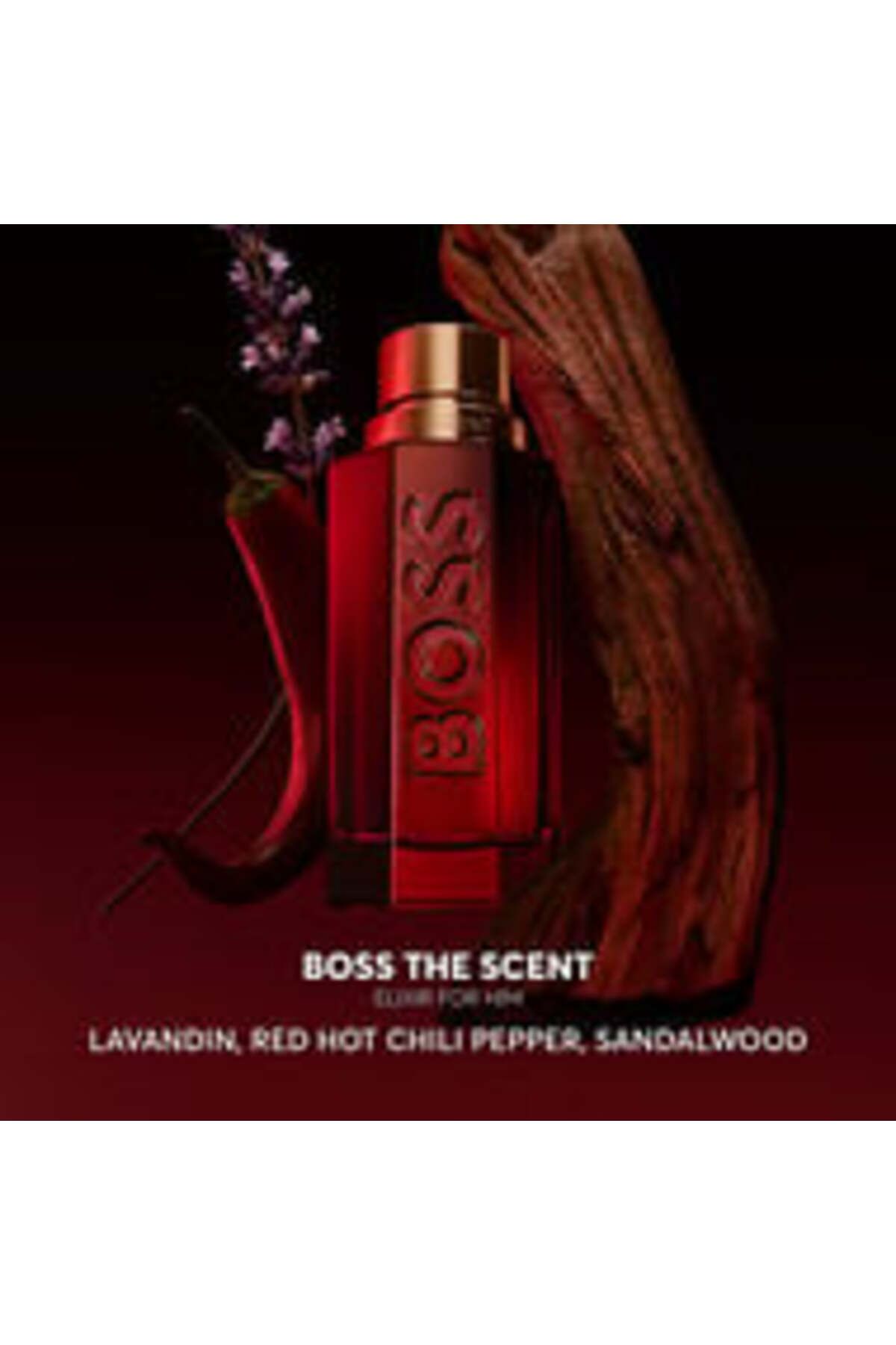 Hugo Boss-عطر هوغو بوس ذا سينت إليكسير إنتنس للرجال (100 مل) 3