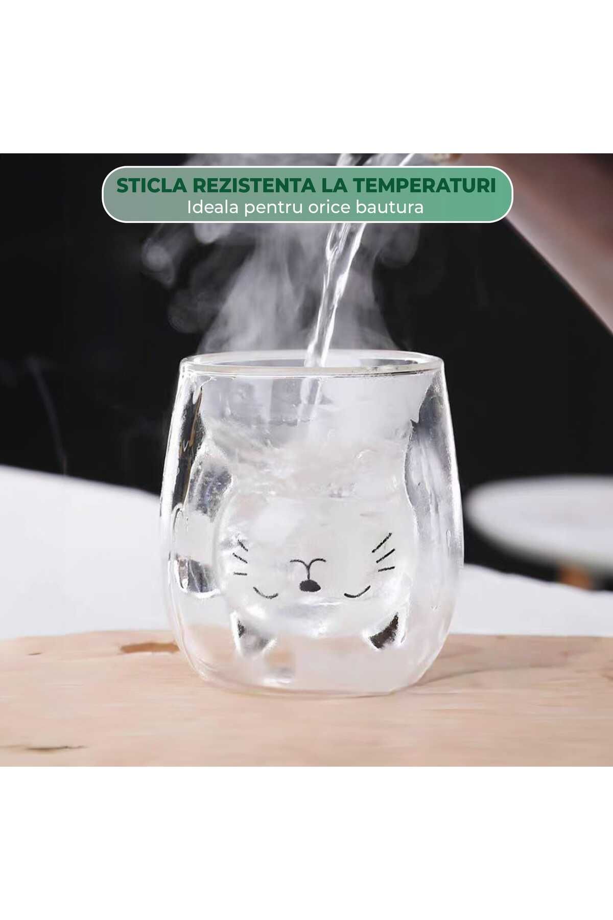 Timebox-Transparent glass mug, Heat-resistant, Double-walled, 150 ml, Cat pattern 3