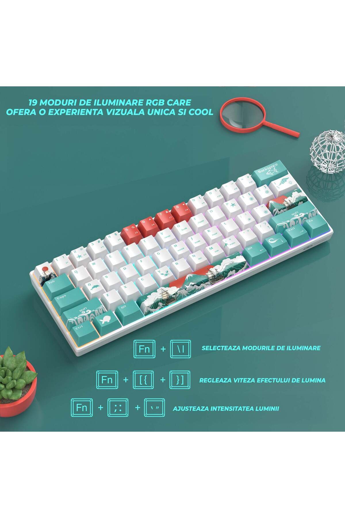 Timebox-Mechanical Keyboard, 60% Compact, RGB, Ivory White Hot-Swappable Switches, Silent and Portable Desi 4