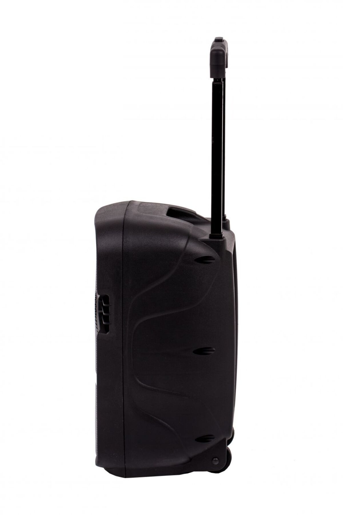 Ailiang-Professional Active Speaker, 120 W Power, Usb Port, Sd Card, Microphone and Remote Control 3