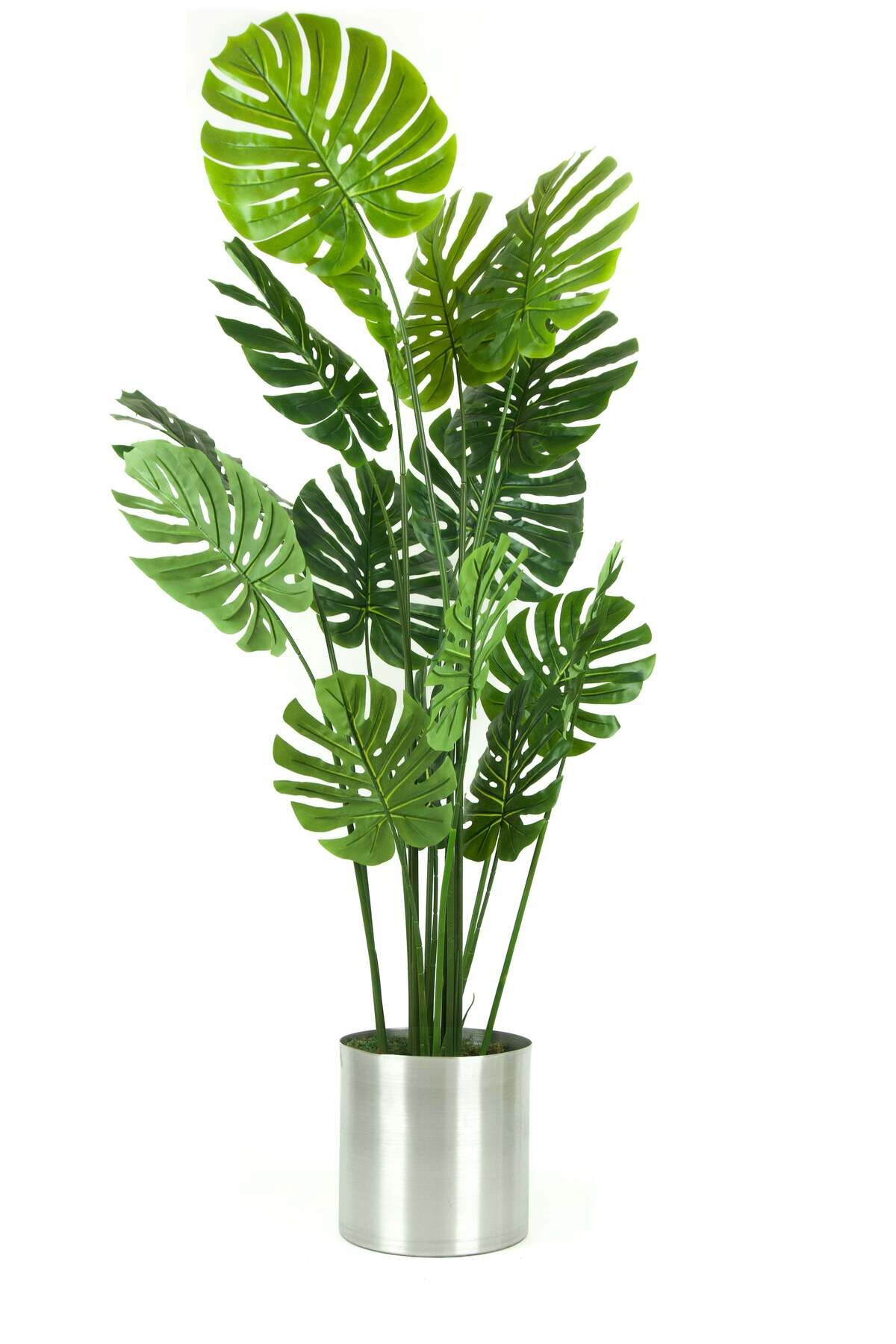 Yapay Deve Tabanı Ağacı | Monstera Yapay Ağaç | 2