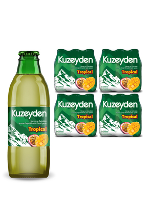 KUZEYDEN Tropical Doğal Mineralli Gazlı İçecek | Mango , Çarkıfelek Meyvesi |...