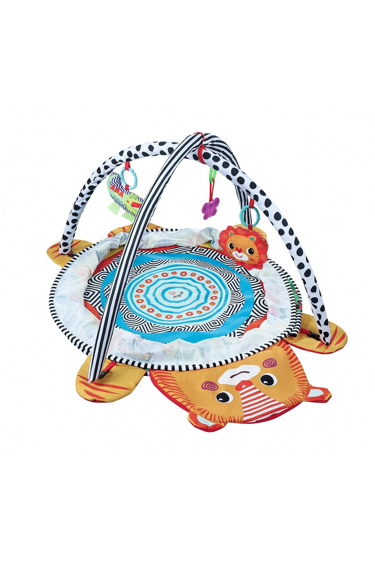 Molie Eğlenceli Aslan Top Havuzu fotoğrafı 3 (önizleme)