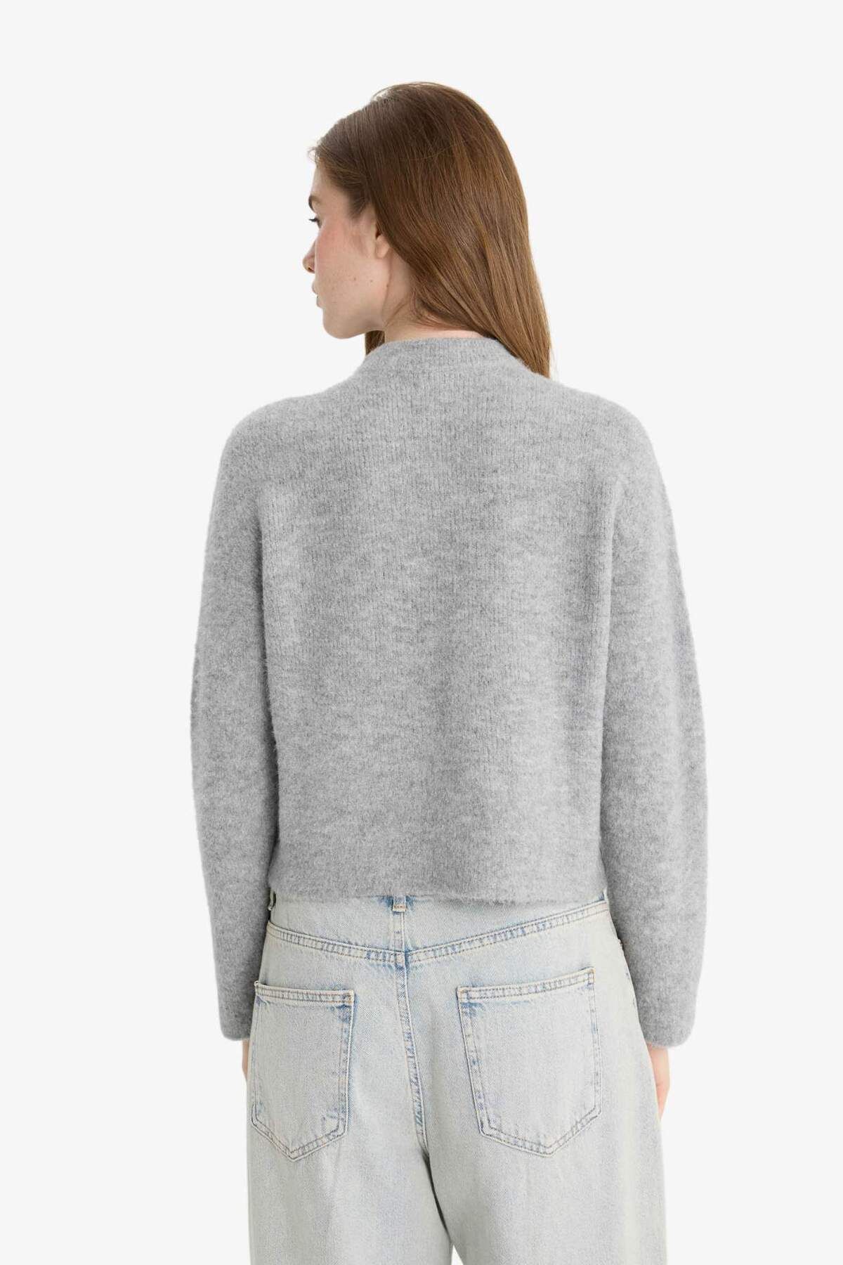 DeFacto-Regular Fit Half Turtleneck Sweater F4768Ax25Wn 6