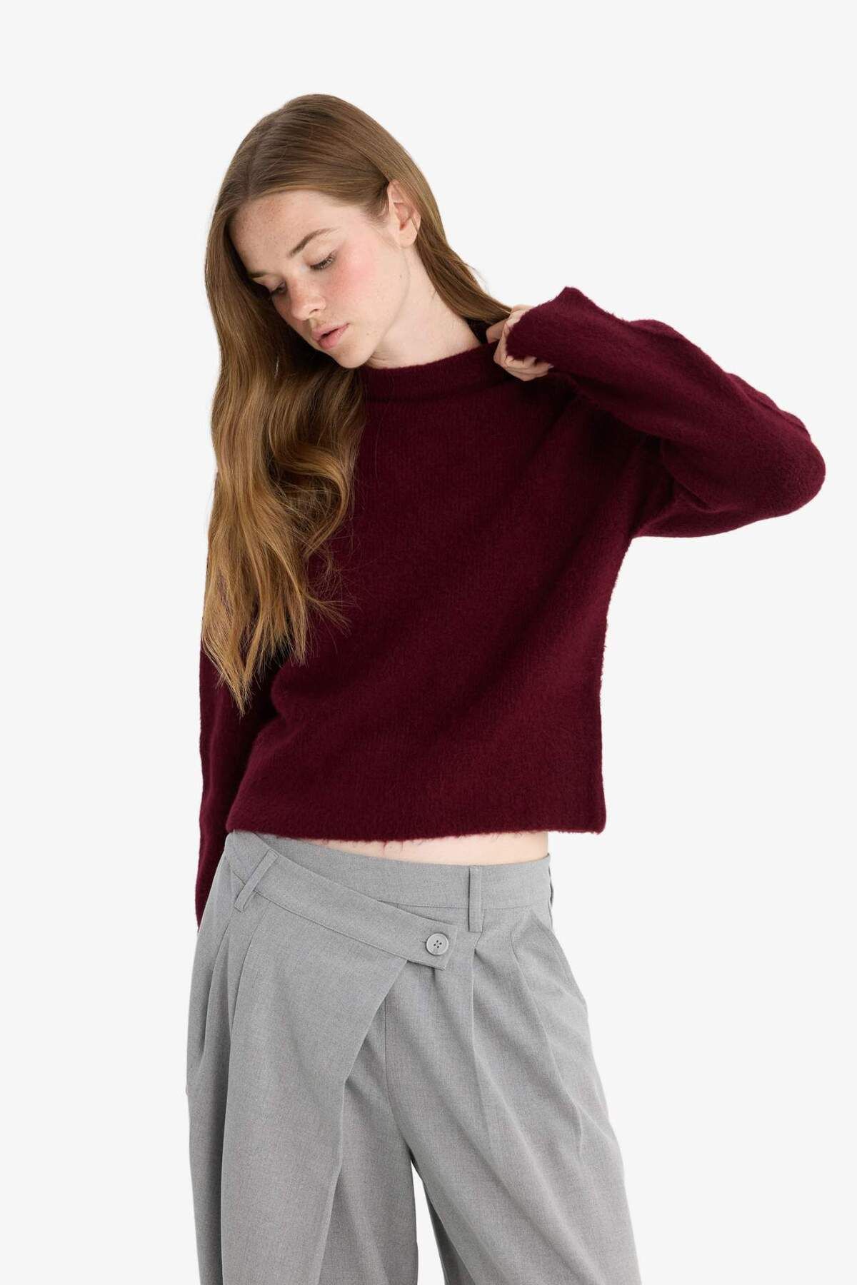 DeFacto-Regular Fit Half Turtleneck Sweater F4768Ax25Wn 3