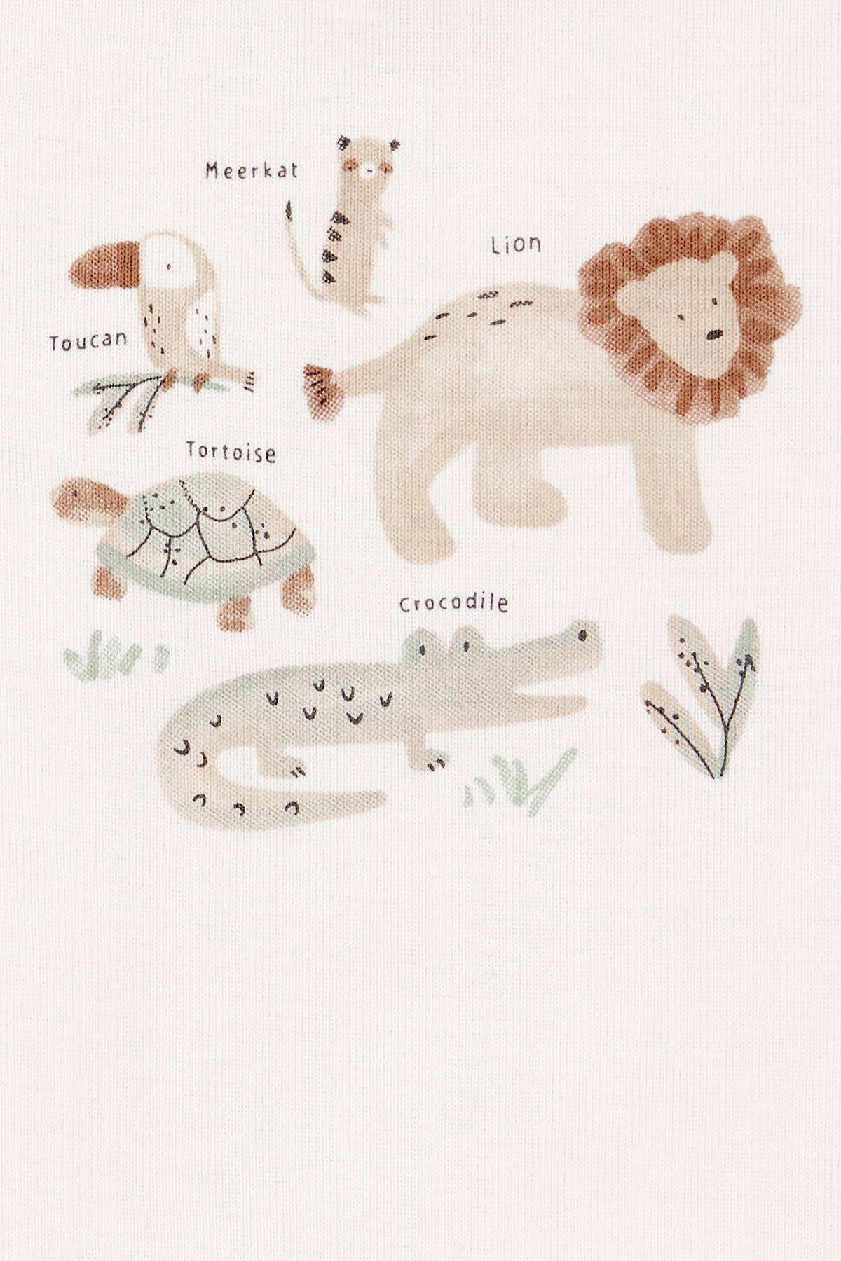 Carter's Erkek Bebek Yeşil 3Lü Hırkalı fotoğrafı 3 (önizleme)