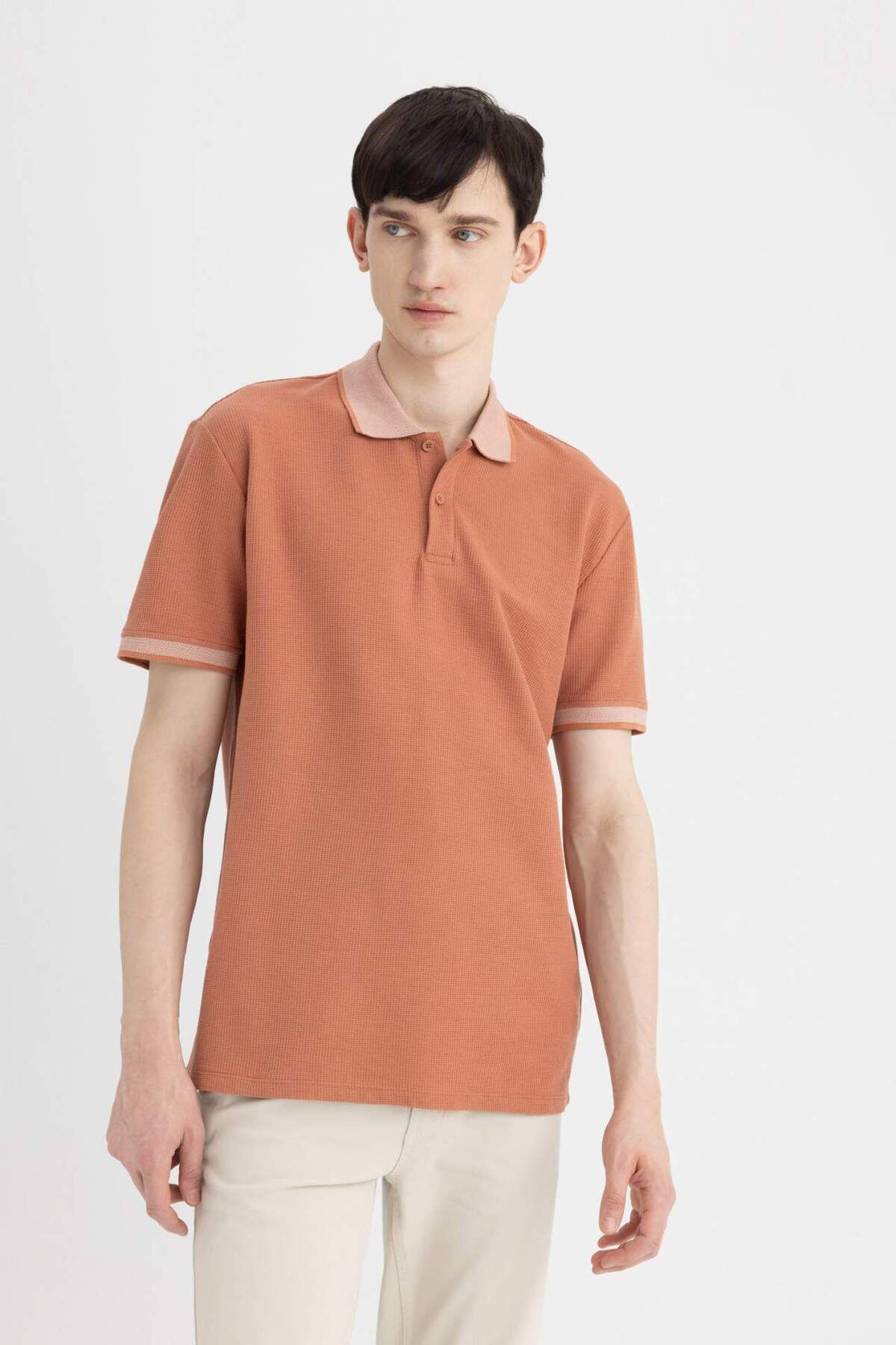 DeFacto-Neues Basic-Polo-T-Shirt mit normaler Passform und kurzen Ärmeln B4508ax24sp 4