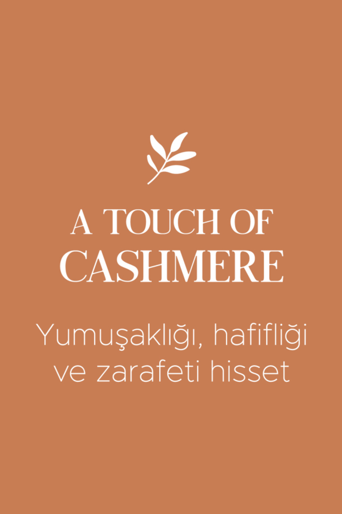 Dagi-Ecru Modal Strap Cashmere Undershirt 5