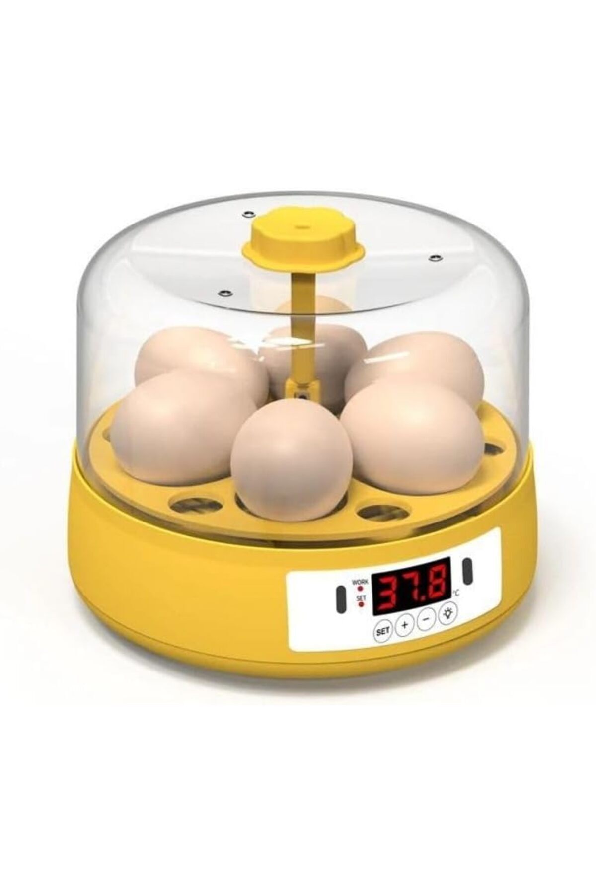 Hepta Collection Mini Otomatik Ev Tipi Kuluçka: Elektrikli Tavuk ve Kuş Kuluçka Makinesi 6 Yumurtalı MX-6