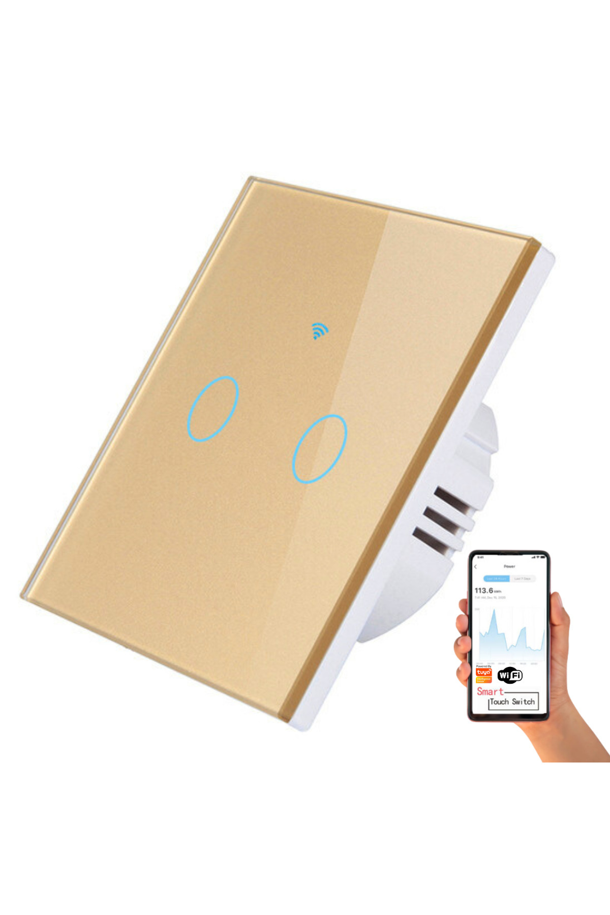 VisionHub-Smart Touch Switch, Wireless, Wi-fi, 2 Channels, Tempered Glass,iOS/Android,Tuya,Amazon Alexa/Google 1