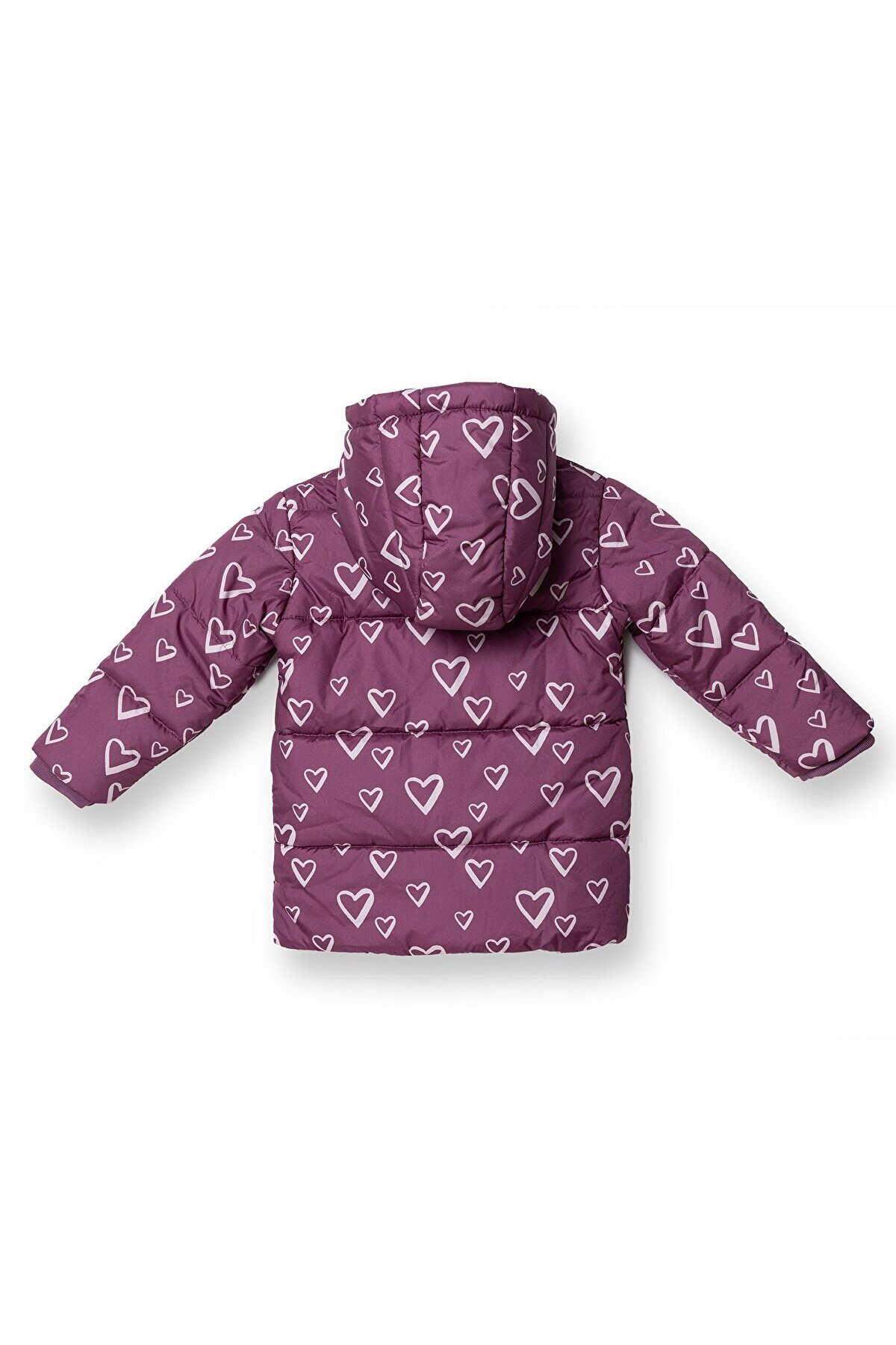 ebebek Hello Baby HelloBaby Kız Bebek Mont Fermuarlı Uzun Kol fotoğrafı 2 (önizleme)