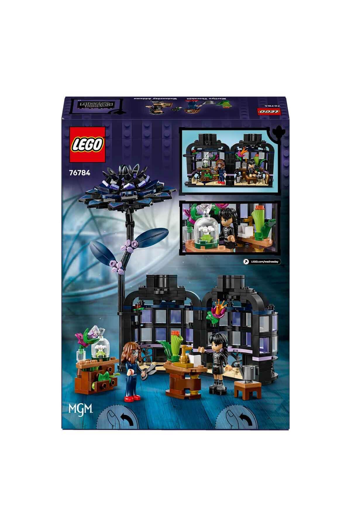 گل ستارهٔ سیاه چهارشنبه ۷۶۷۸۴ - گل کلکسیونی برای کودکان ۹ ساله و بالاتر