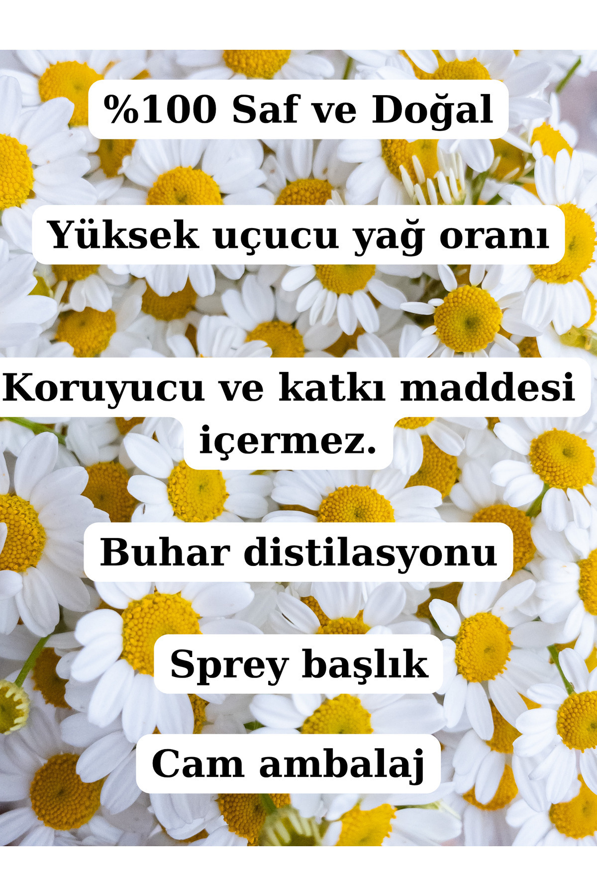 Saf Papatya Hidrosolü 200 Ml - (2 X 100ml Papatya Suyu) — papatya200ml — تصویر 6 از 8
