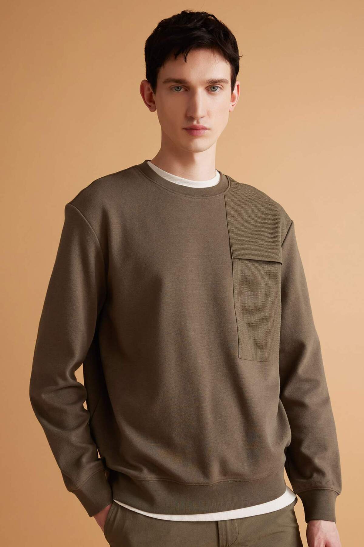 دفاکتو سویشرت رگولار Fit Crew Neck Basic B6495AX24SP