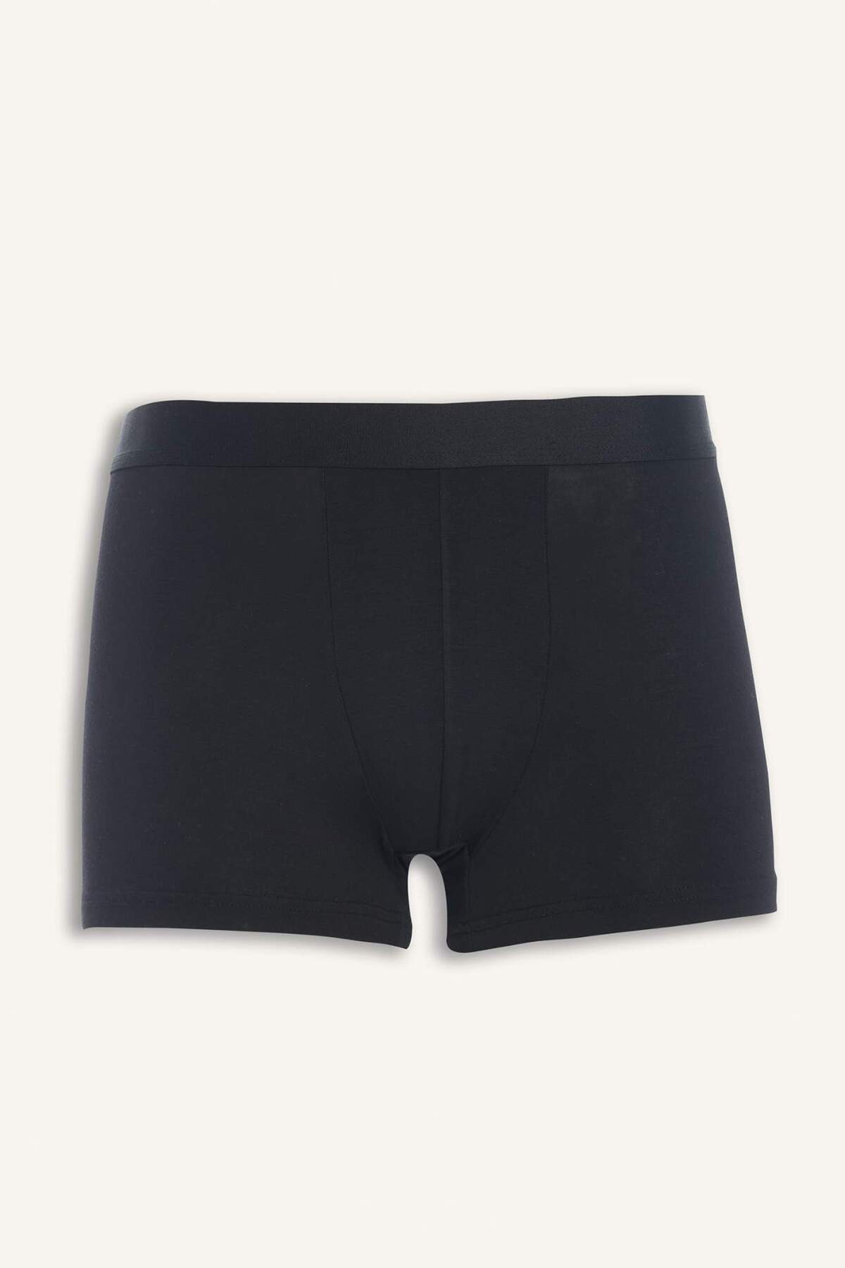 DeFacto-Premium Regular Fit Modal Boxer Z7165AZ24SP 1