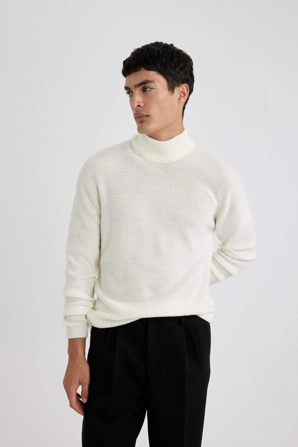 DeFacto-Standard Fit Regular Cut Turtleneck Basic Plain Knitwear Sweater B9708Ax24Sp 5