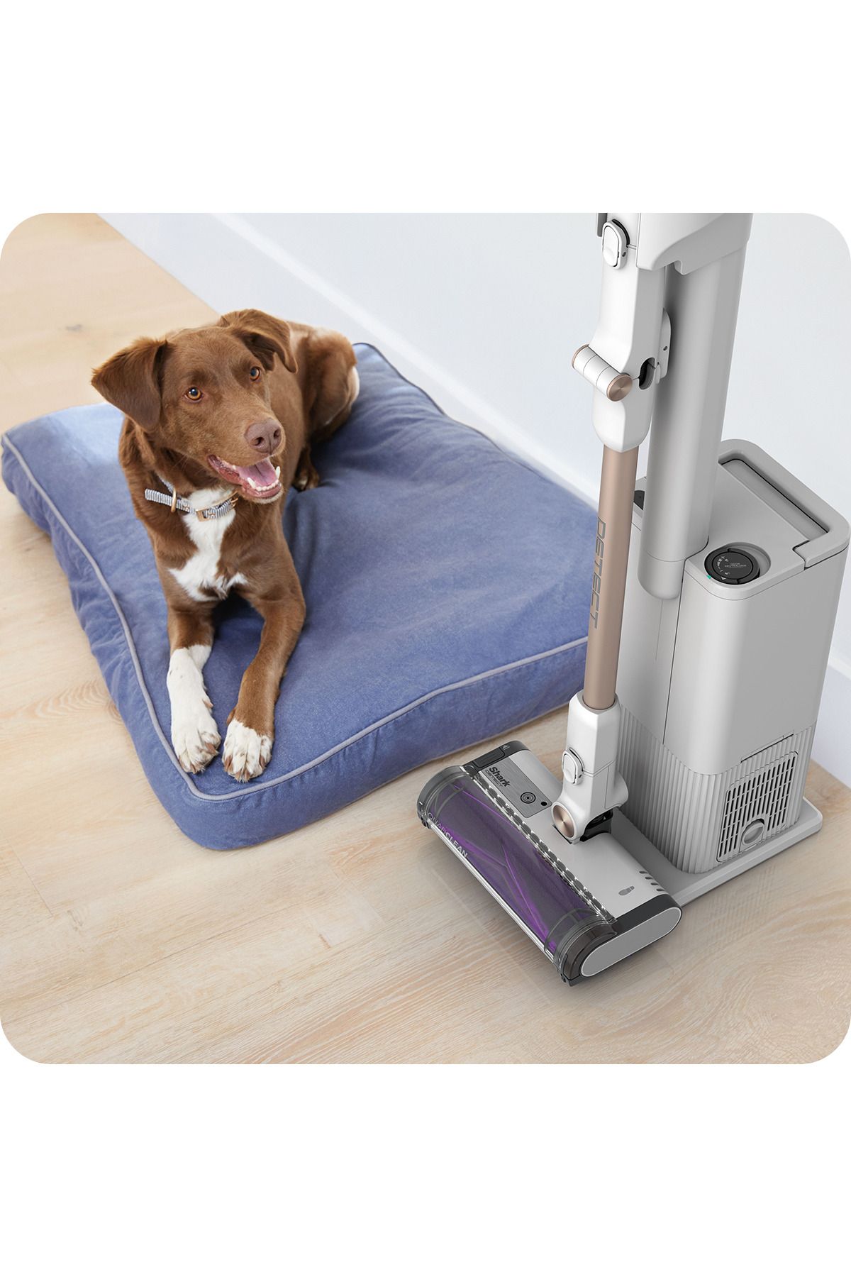 Shark-Detect Clean & Empty IW3612EUT 4